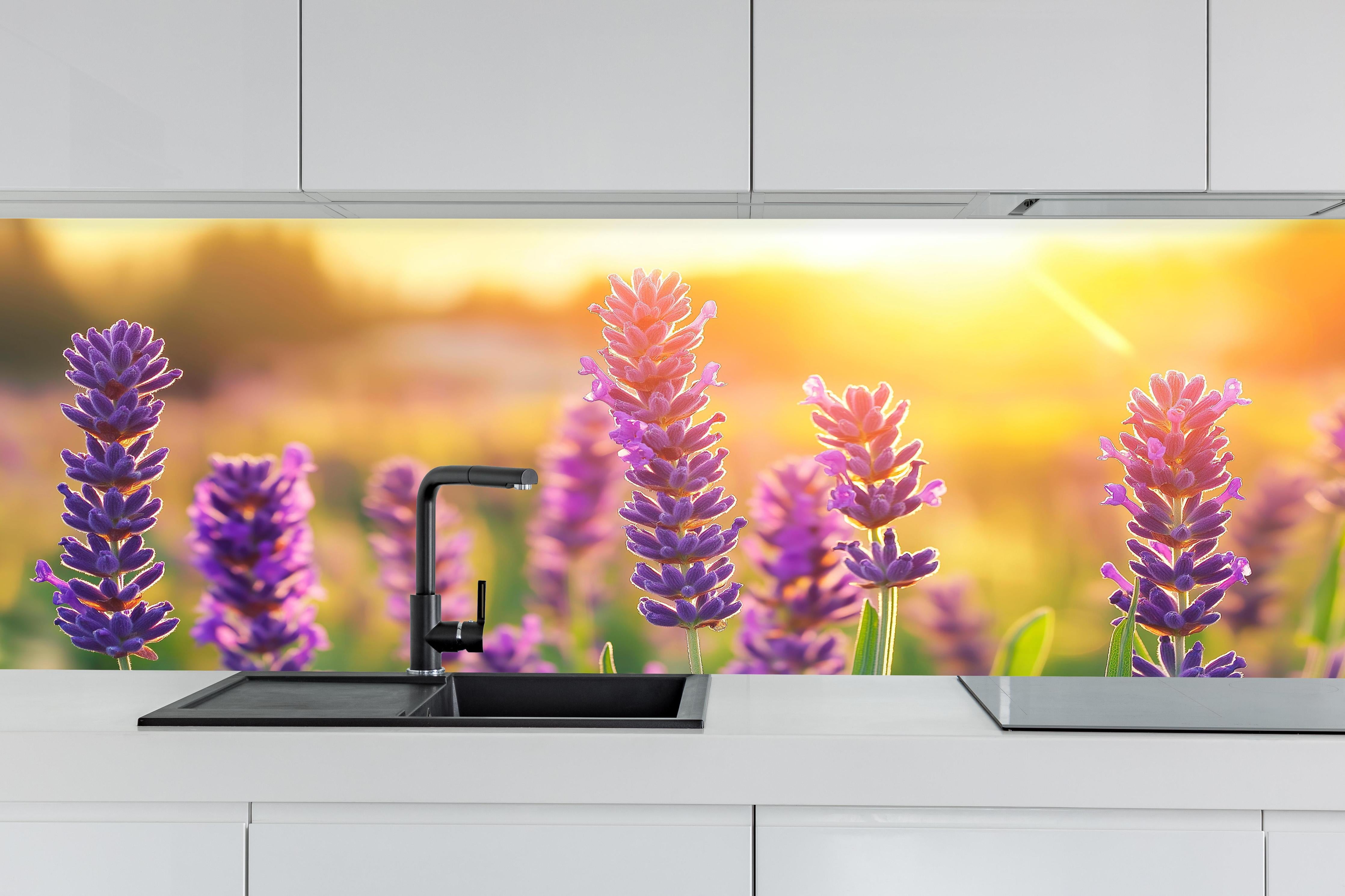 Küche - Lavendel in goldenem Abendlicht hinter weißen Hochglanz-Küchenregalen und schwarzem Wasserhahn