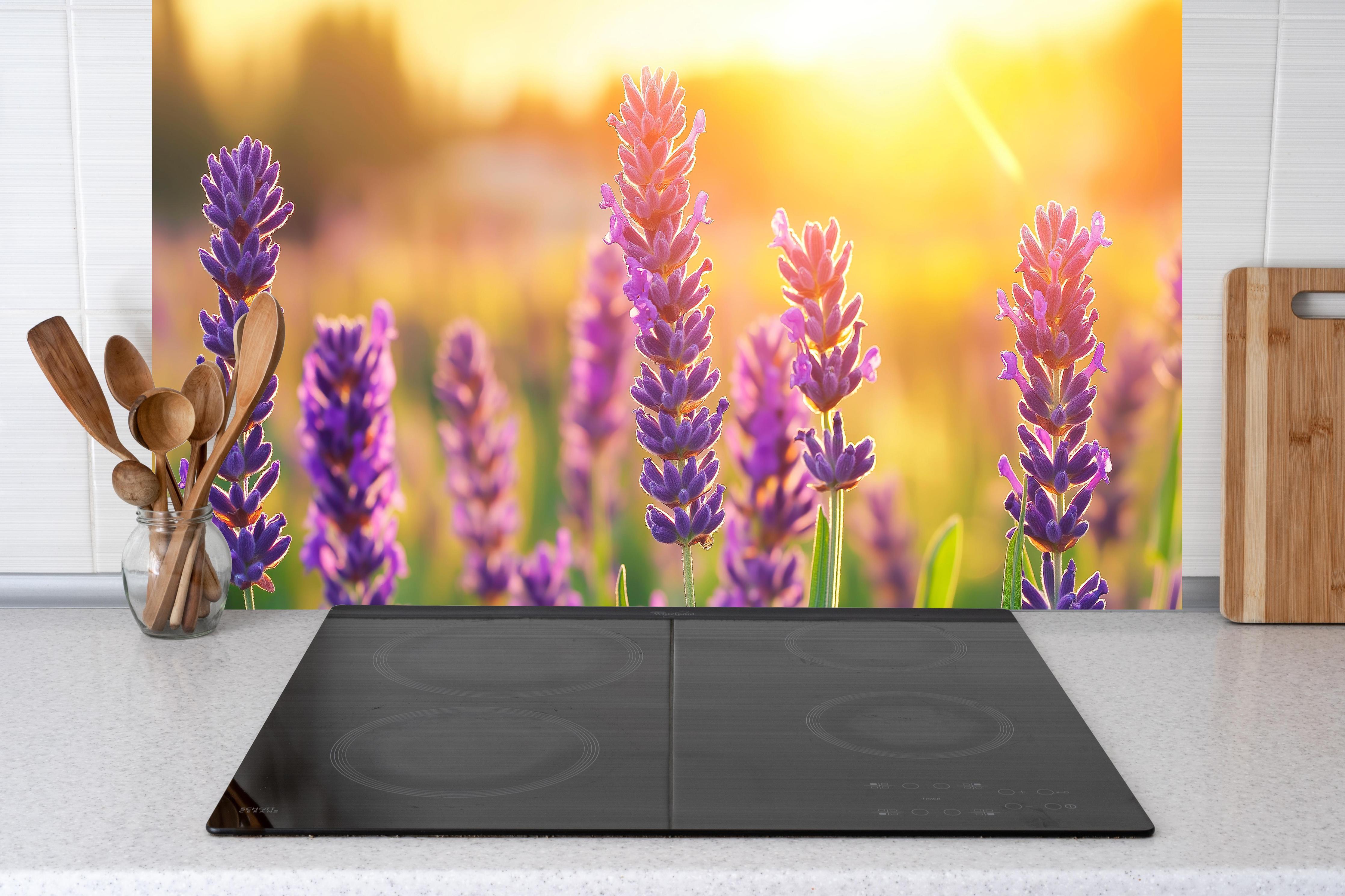 Küche - Lavendel in goldenem Abendlicht hinter Cerankochfeld und Holz-Kochutensilien