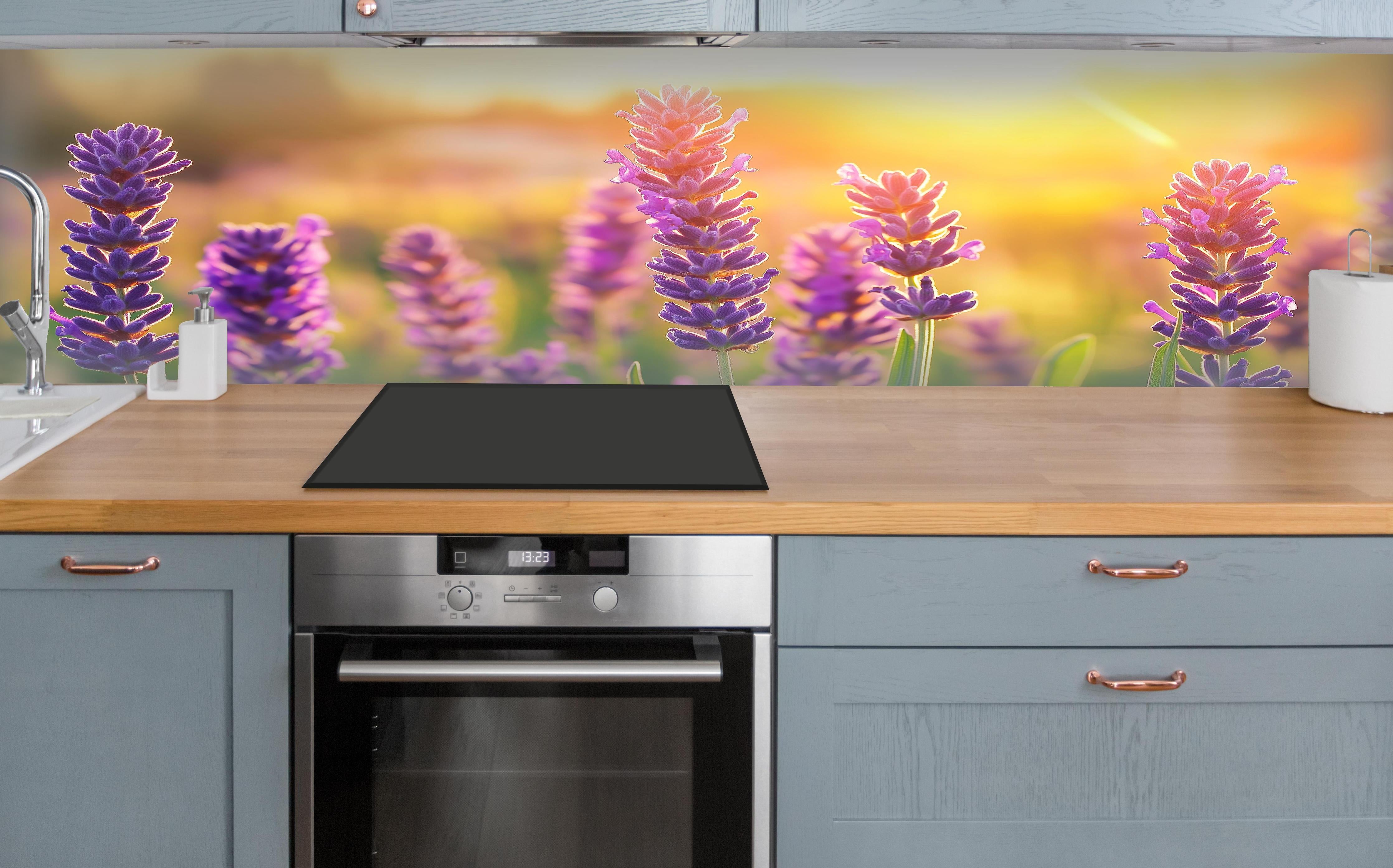 Küche - Lavendel in goldenem Abendlicht über polierter Holzarbeitsplatte mit Cerankochfeld