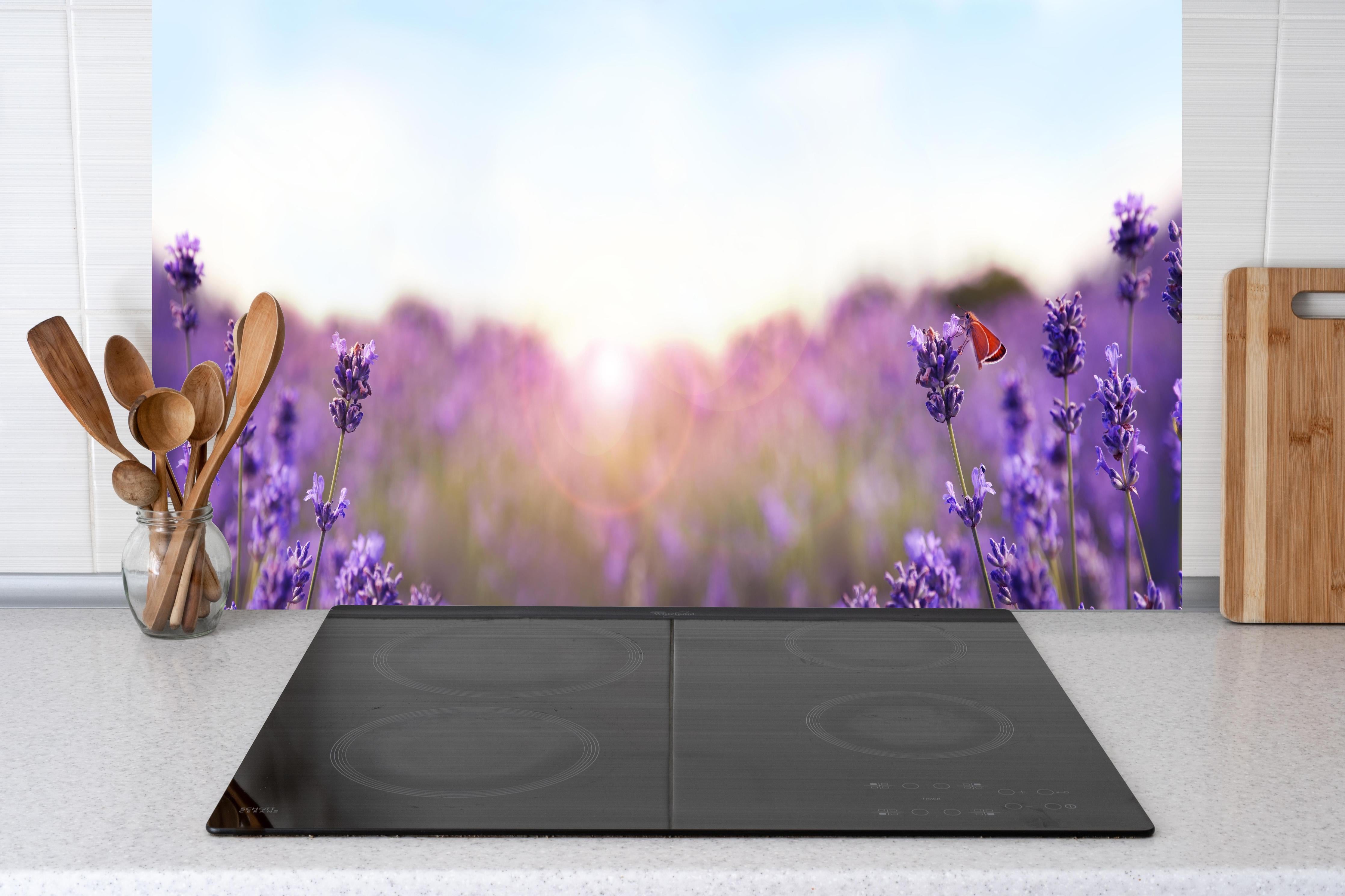 Küche - Lila Lavendelfeld im Morgenlicht hinter Cerankochfeld und Holz-Kochutensilien