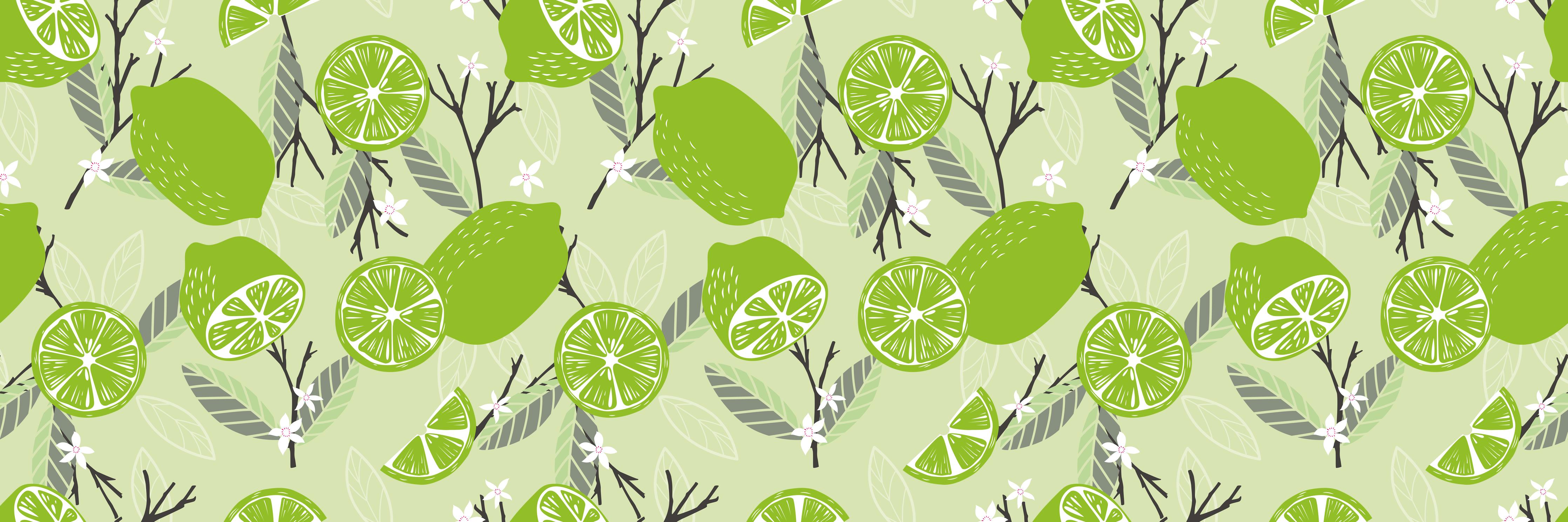 Küchenrückwand-Limetten-Muster Fruchtige Frische