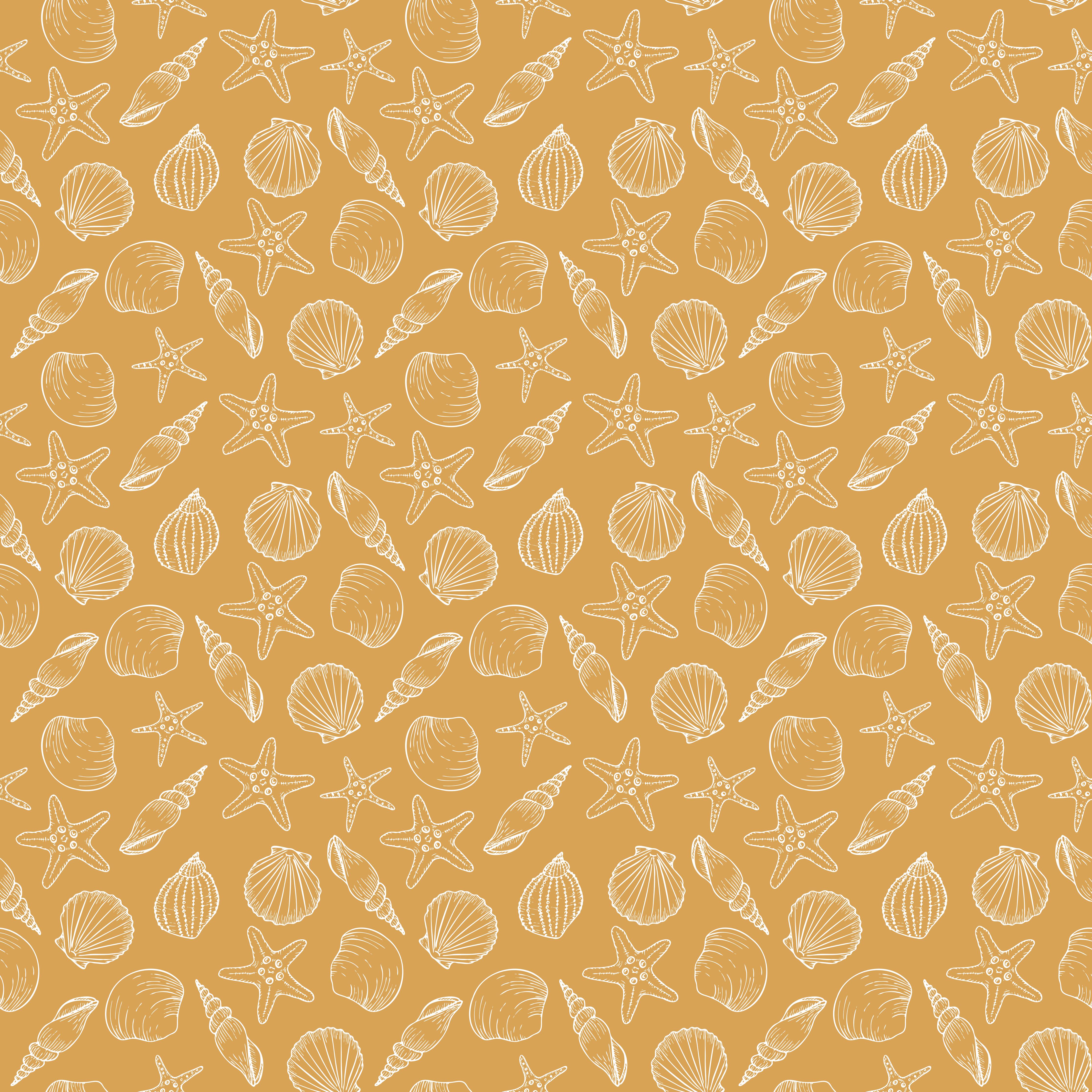 Küchenrückwand-Muschelmuster Amber-Beige