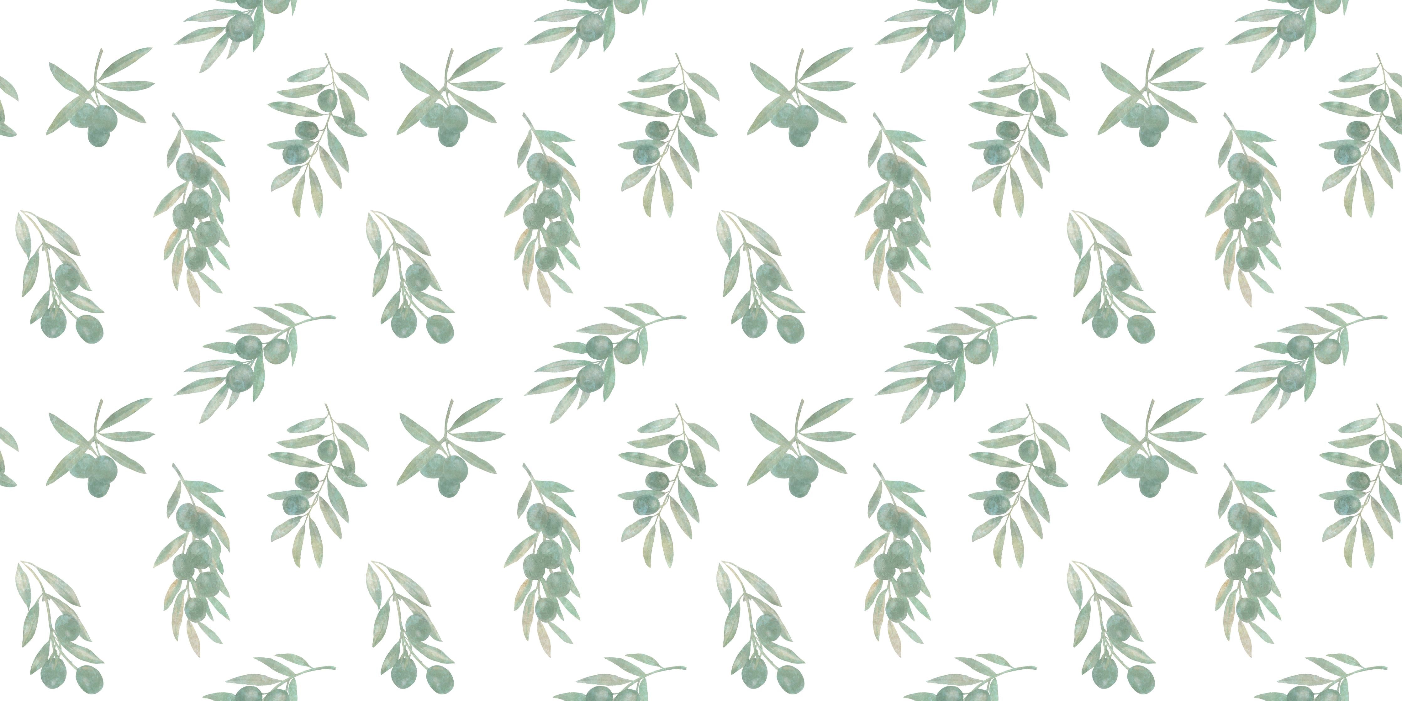 Küchenrückwand-Olivenzweig Muster Weiß-Grün