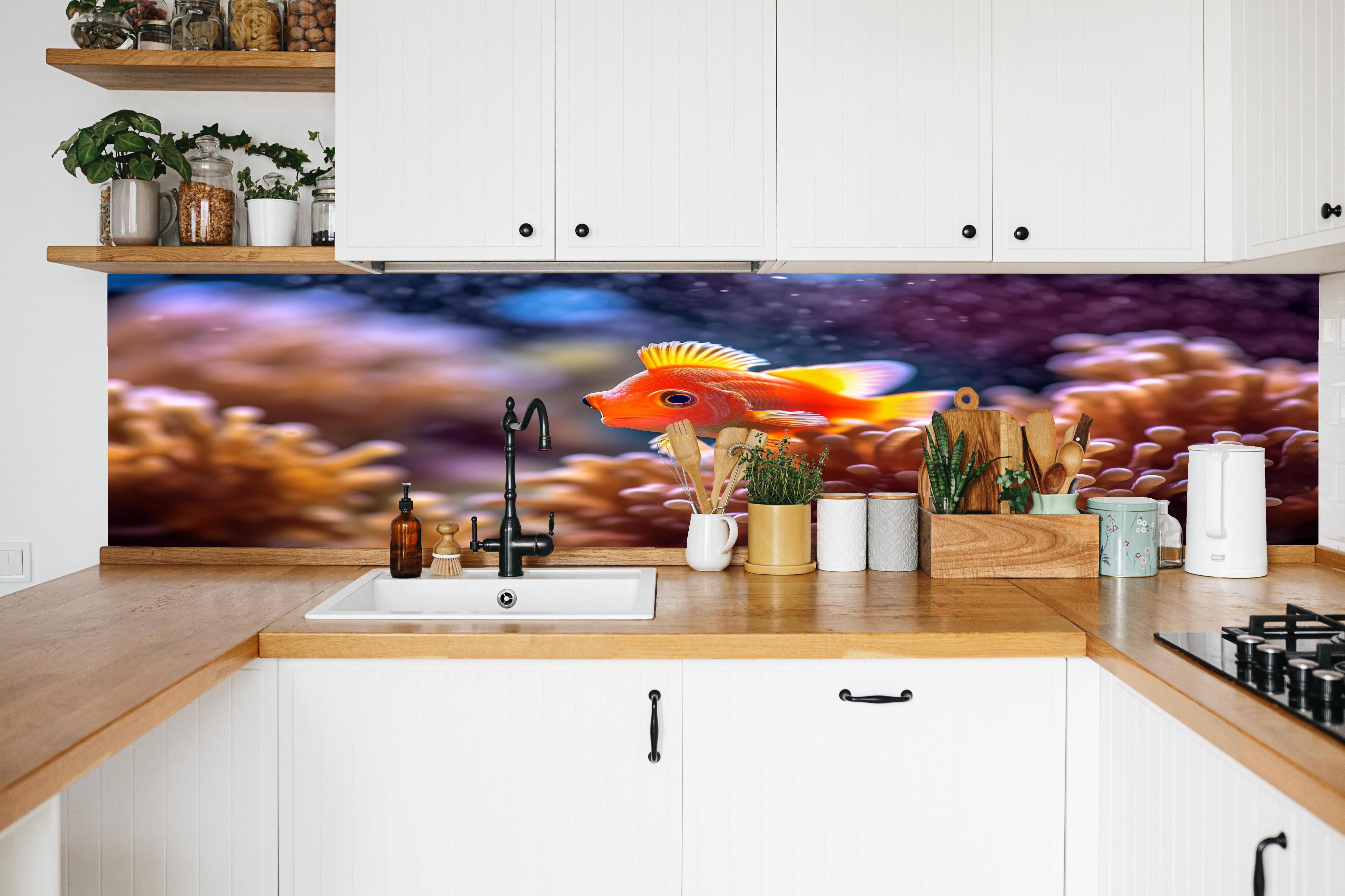 Küche - Oranger Anemonenfisch im Korallenriff in weißer Küche hinter Gewürzen und Kochlöffeln aus Holz