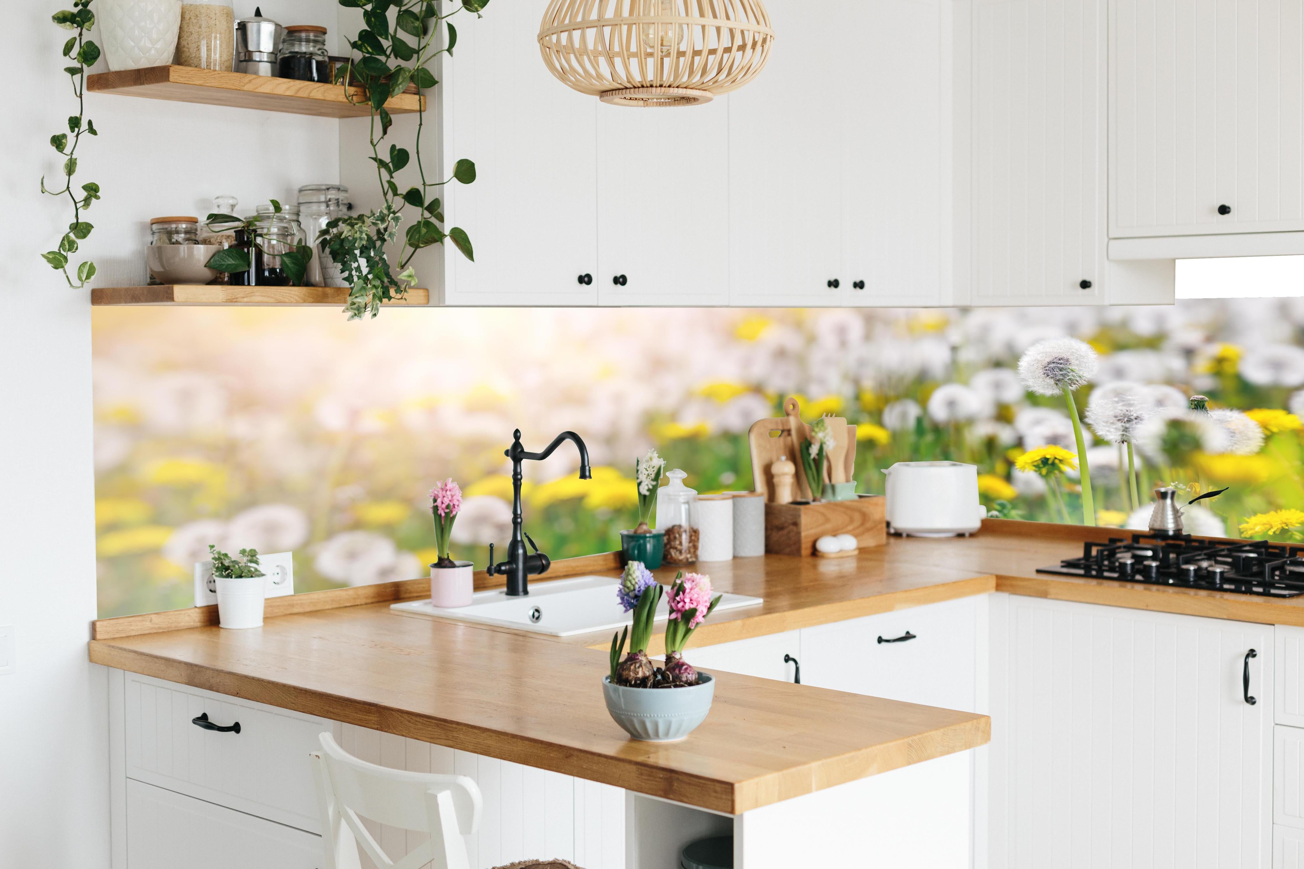 Küche - Pusteblumen-Wiese Gelb Weiß in lebendiger Küche mit bunten Blumen
