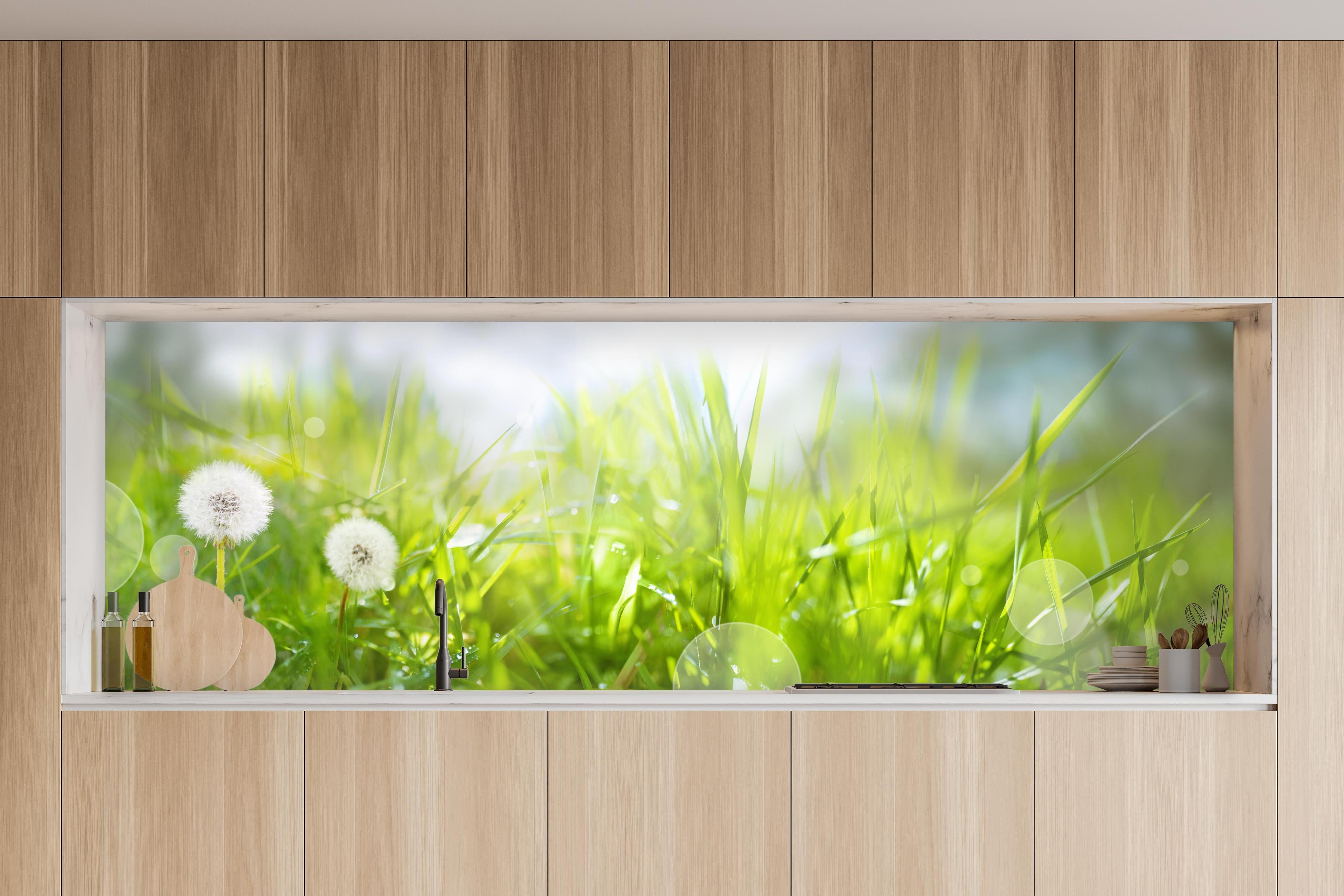 Küche - Pusteblumen auf grüner Wiese in charakteristischer Vollholz-Küche mit modernem Gasherd