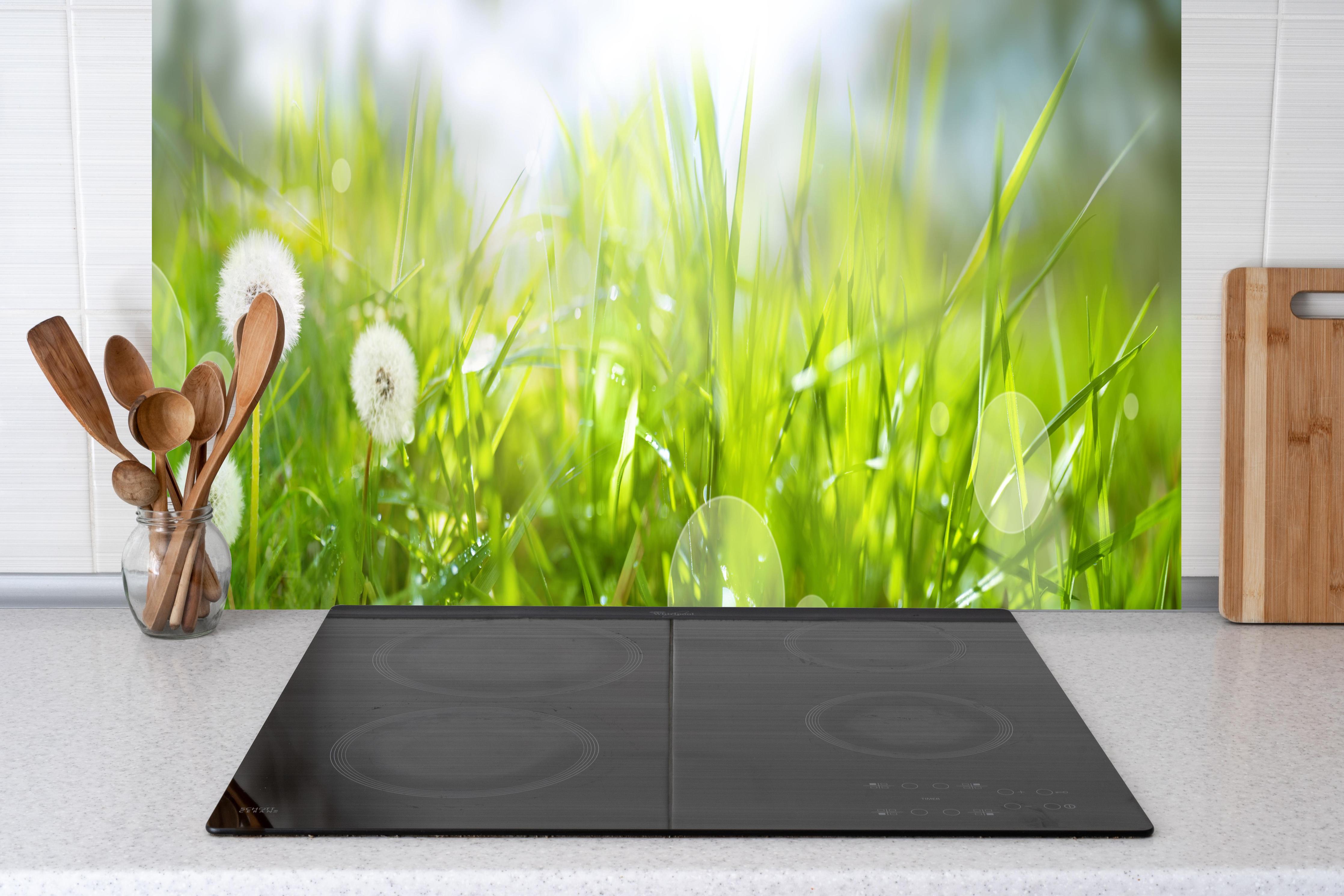 Küche - Pusteblumen auf grüner Wiese hinter Cerankochfeld und Holz-Kochutensilien
