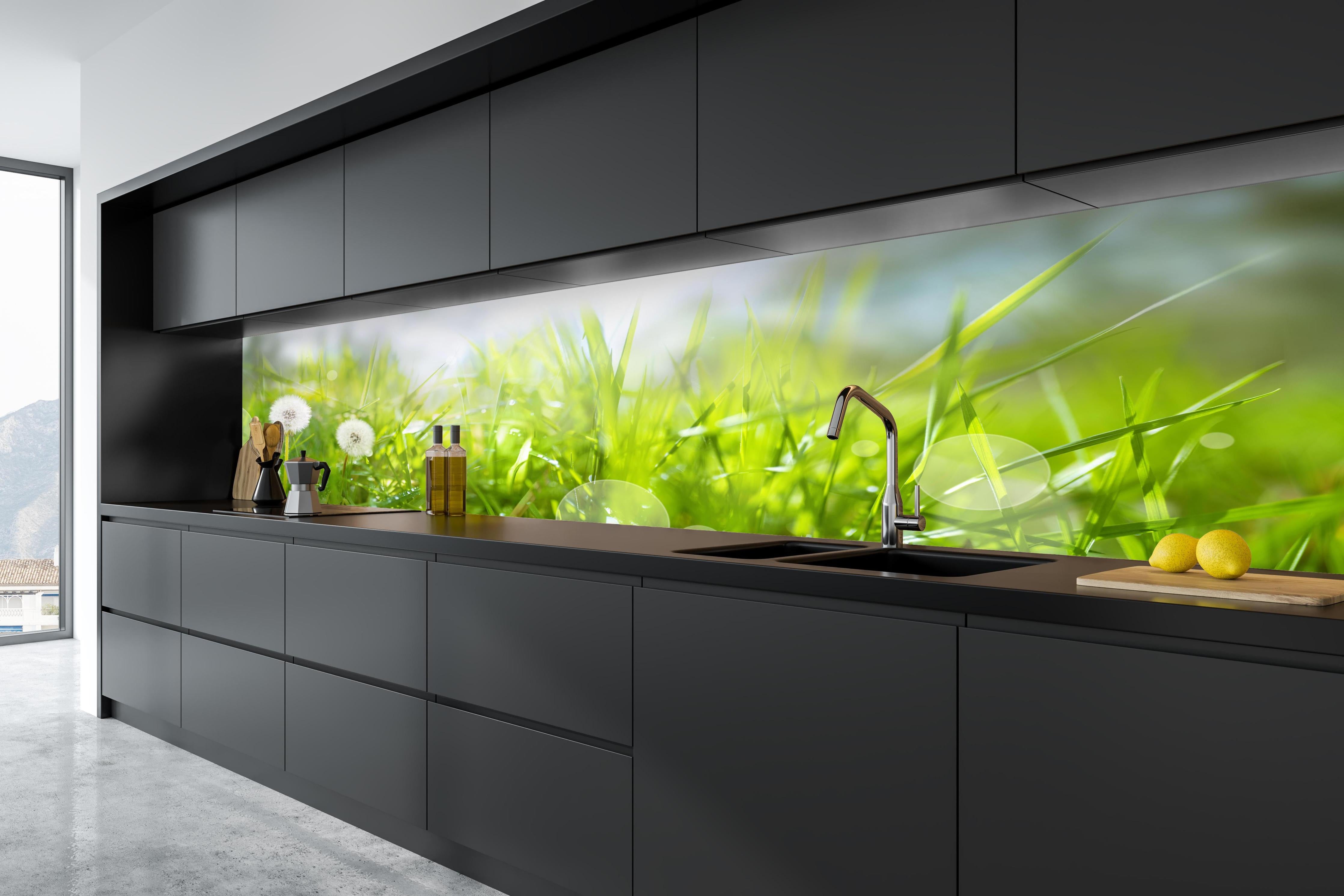 Küche - Pusteblumen auf grüner Wiese in tiefschwarzer matt-premium Einbauküche