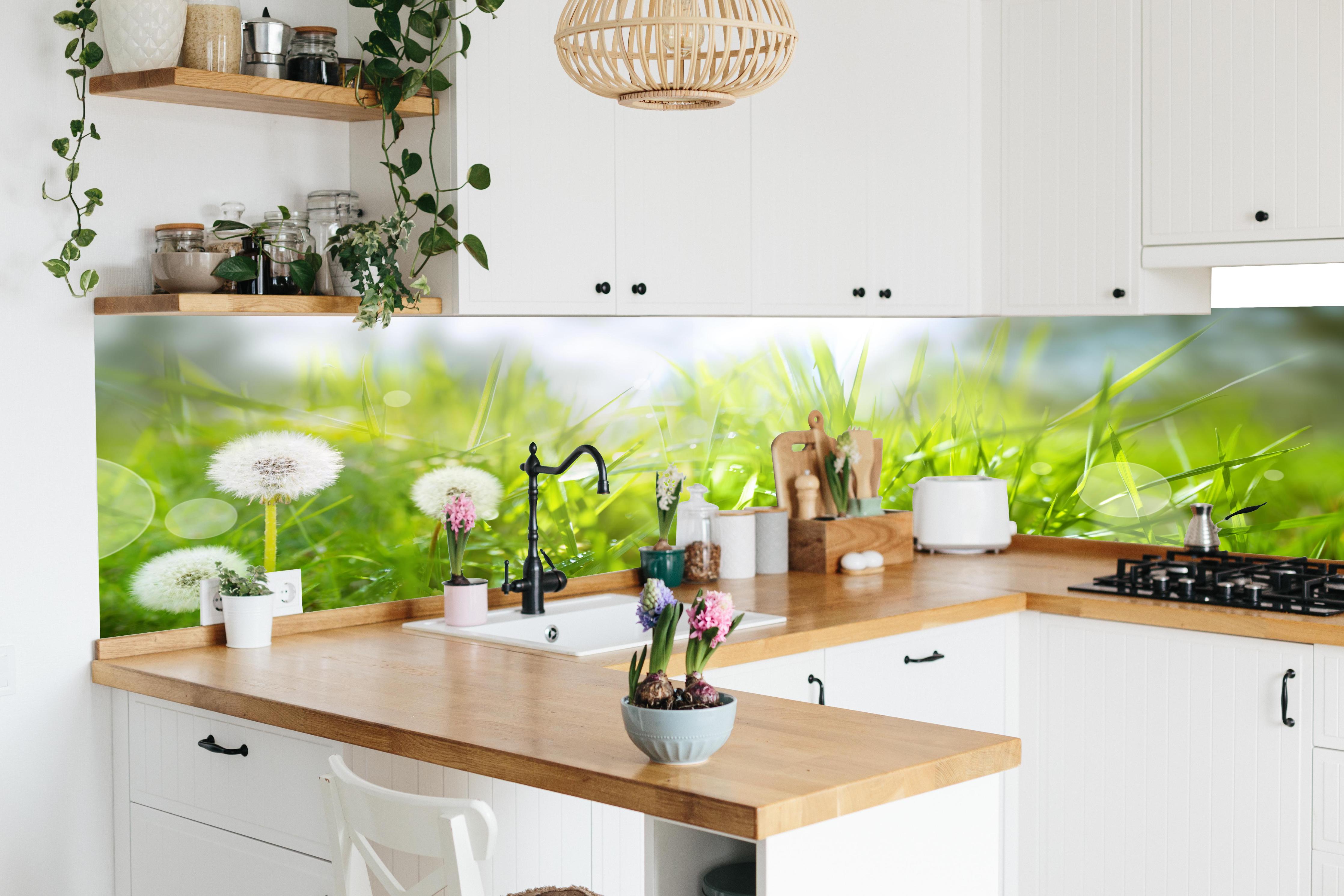 Küche - Pusteblumen auf grüner Wiese in lebendiger Küche mit bunten Blumen