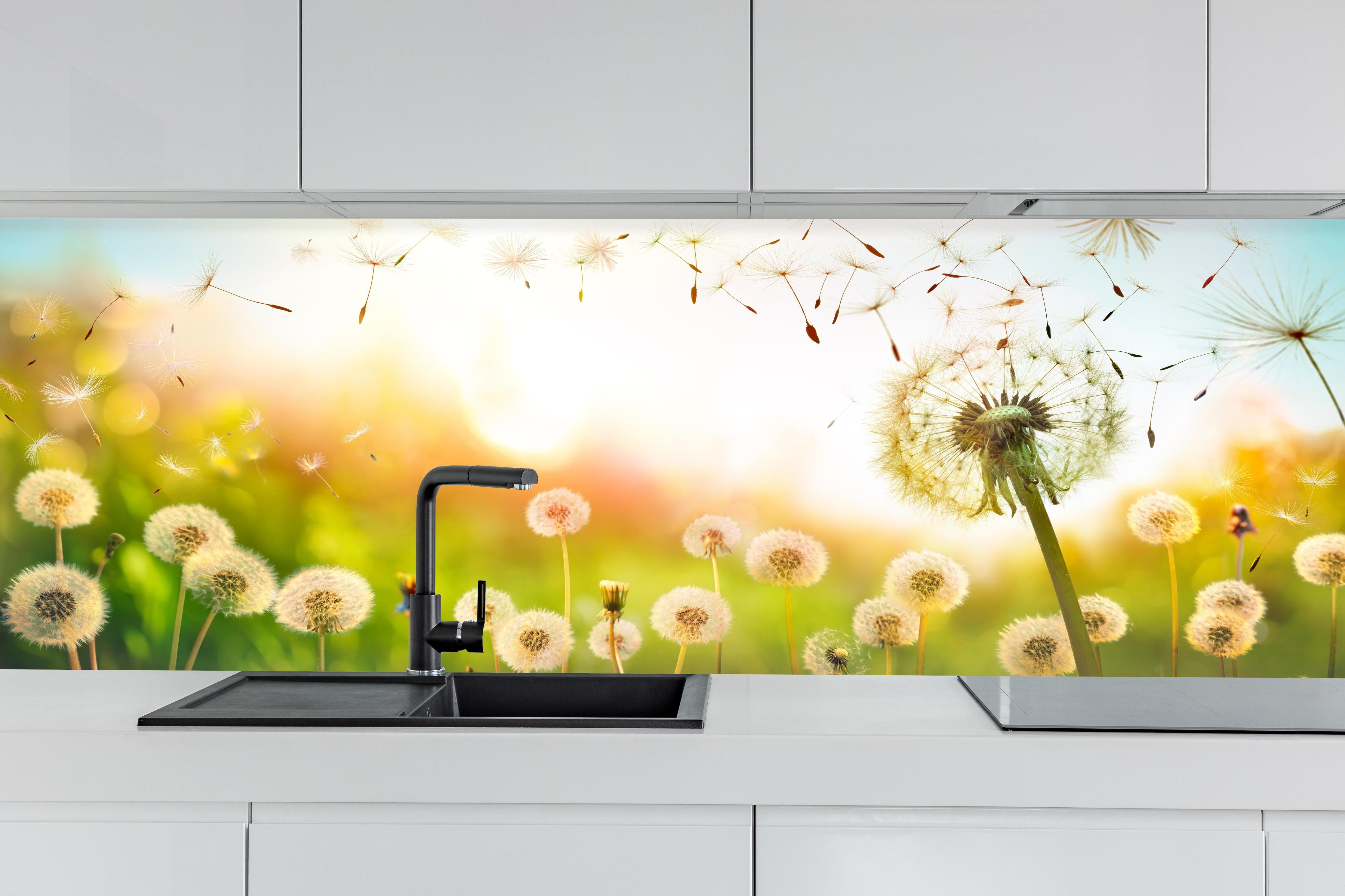 Küche - Pusteblumen im goldenen Licht hinter weißen Hochglanz-Küchenregalen und schwarzem Wasserhahn