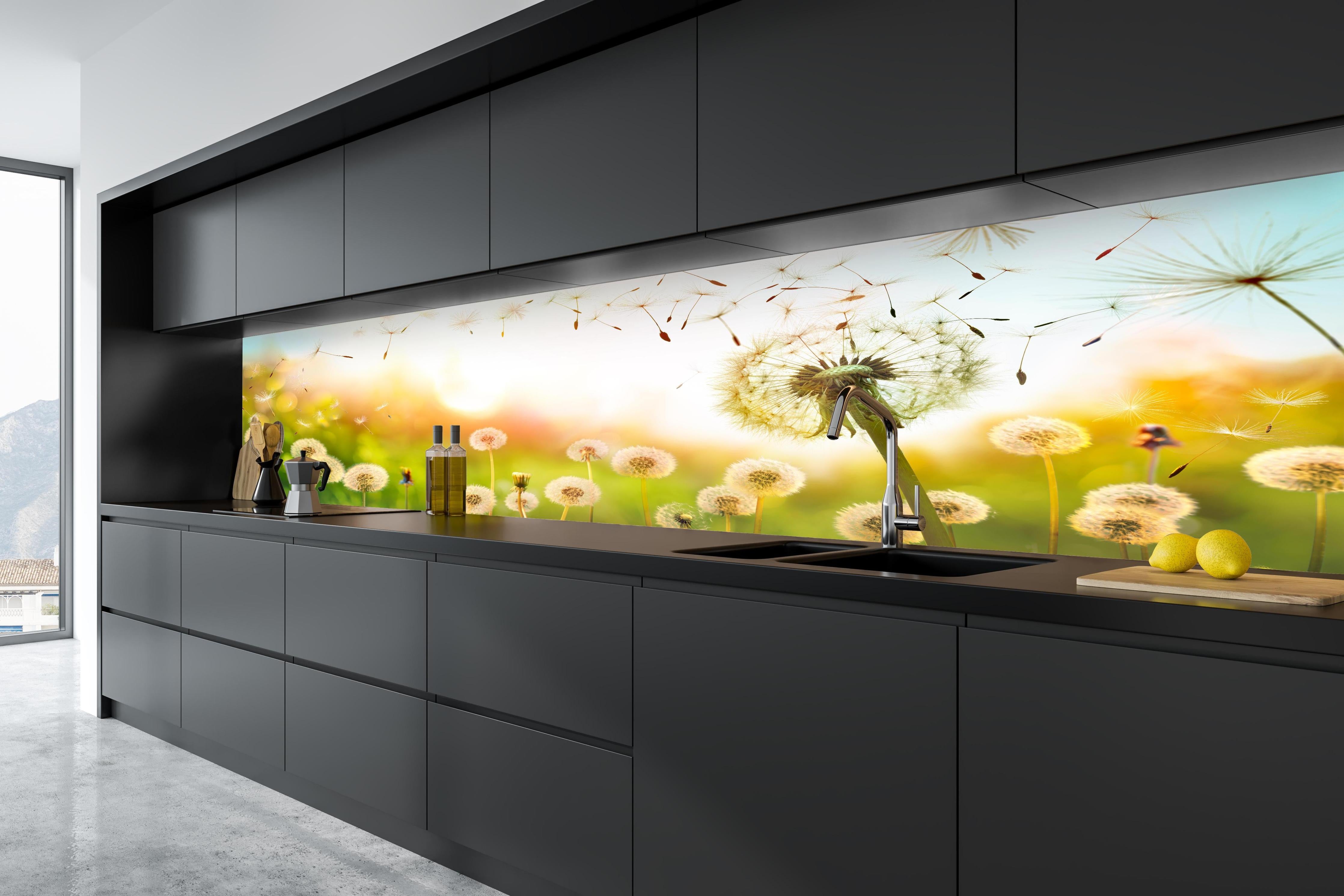 Küche - Pusteblumen im goldenen Licht in tiefschwarzer matt-premium Einbauküche