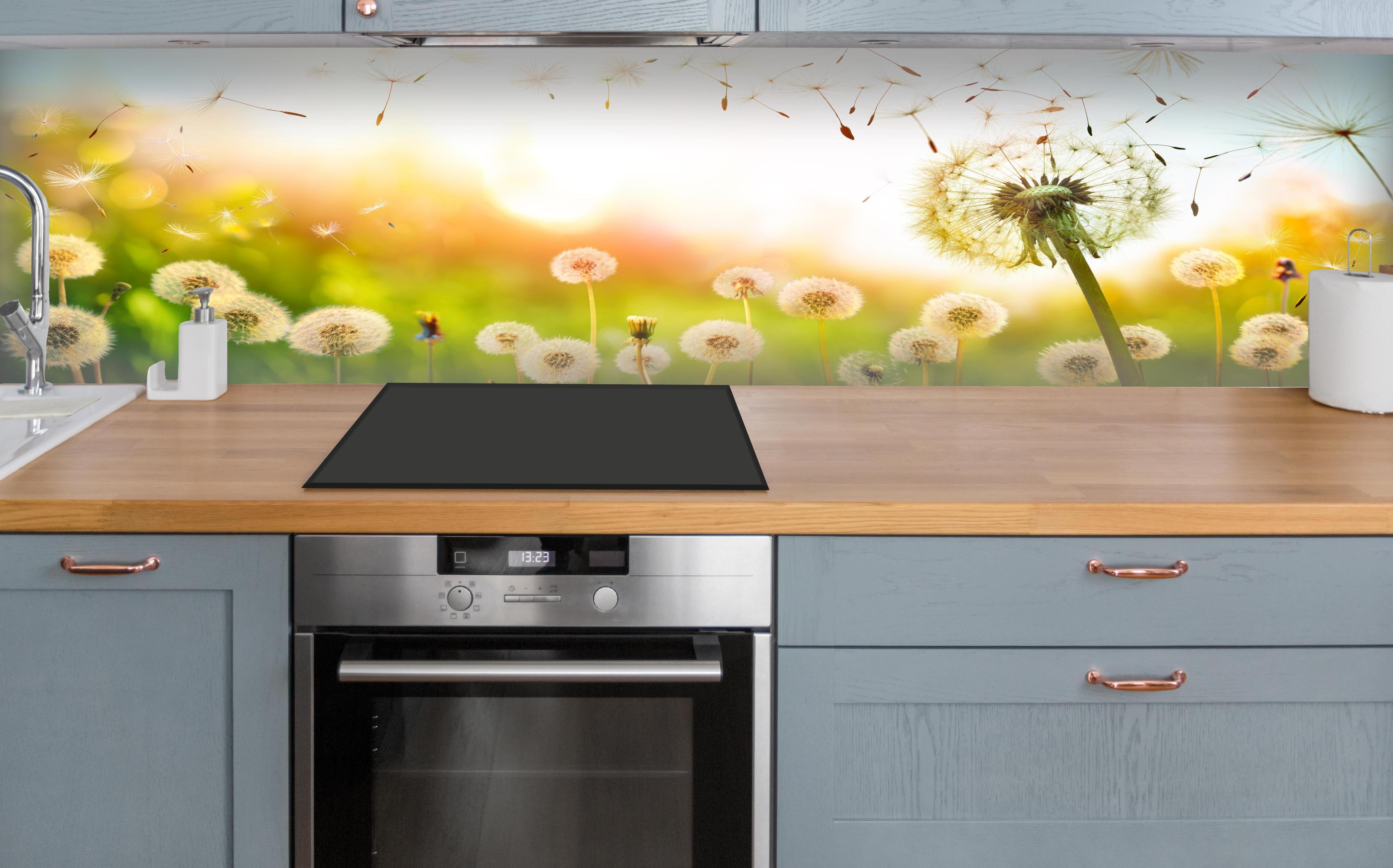 Küche - Pusteblumen im goldenen Licht über polierter Holzarbeitsplatte mit Cerankochfeld