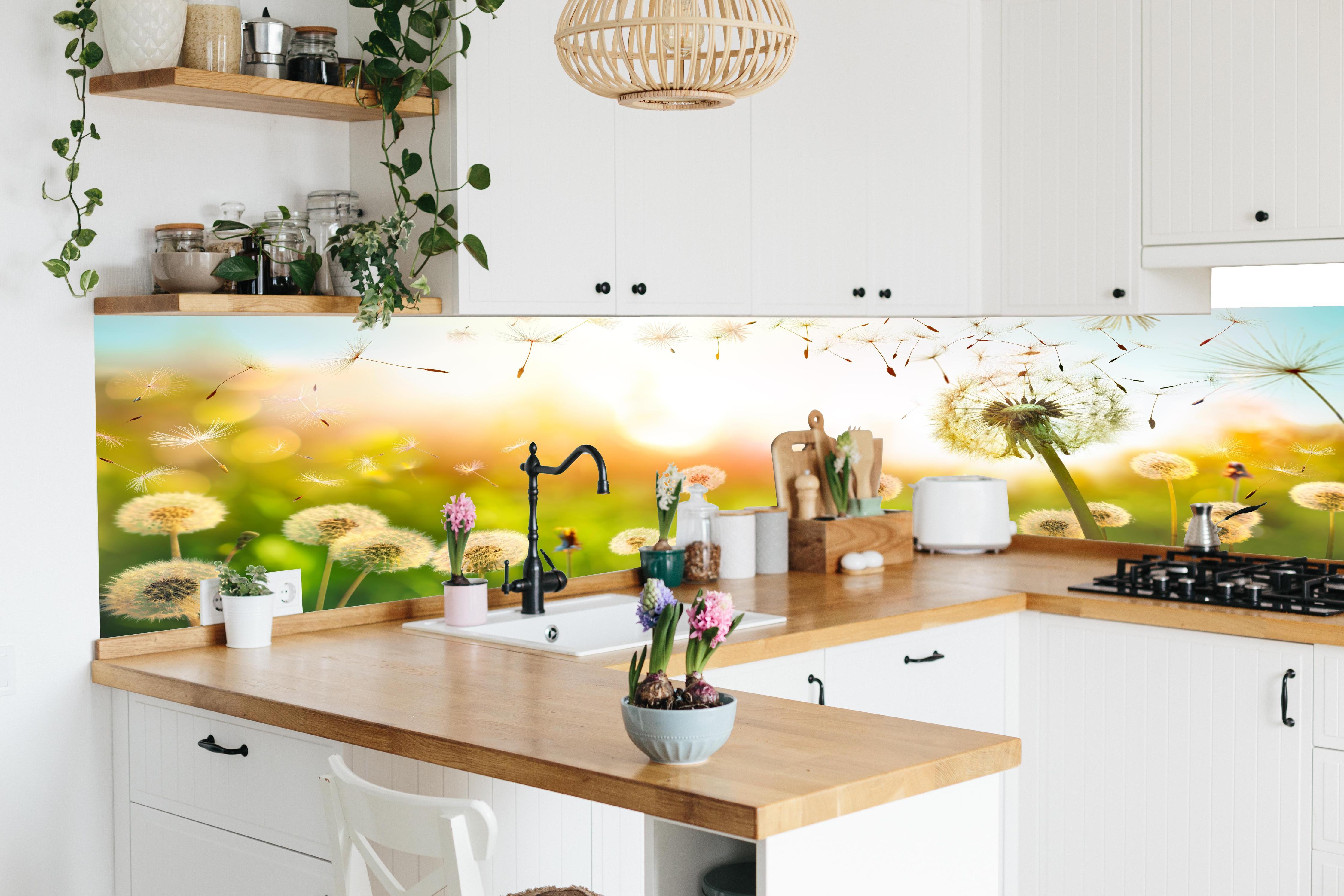 Küche - Pusteblumen im goldenen Licht in lebendiger Küche mit bunten Blumen