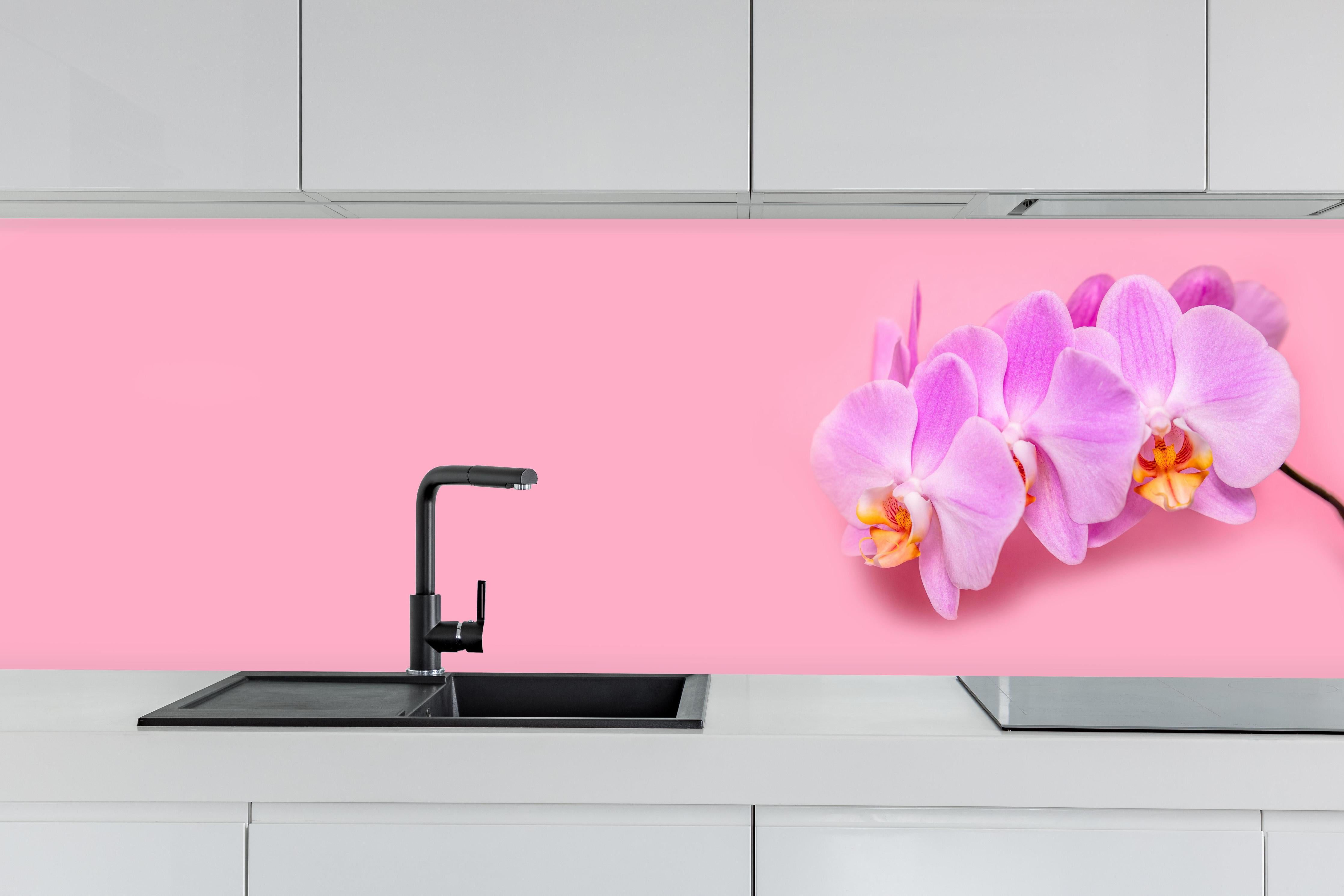 Küche - Rosa Orchideen auf Pink hinter weißen Hochglanz-Küchenregalen und schwarzem Wasserhahn