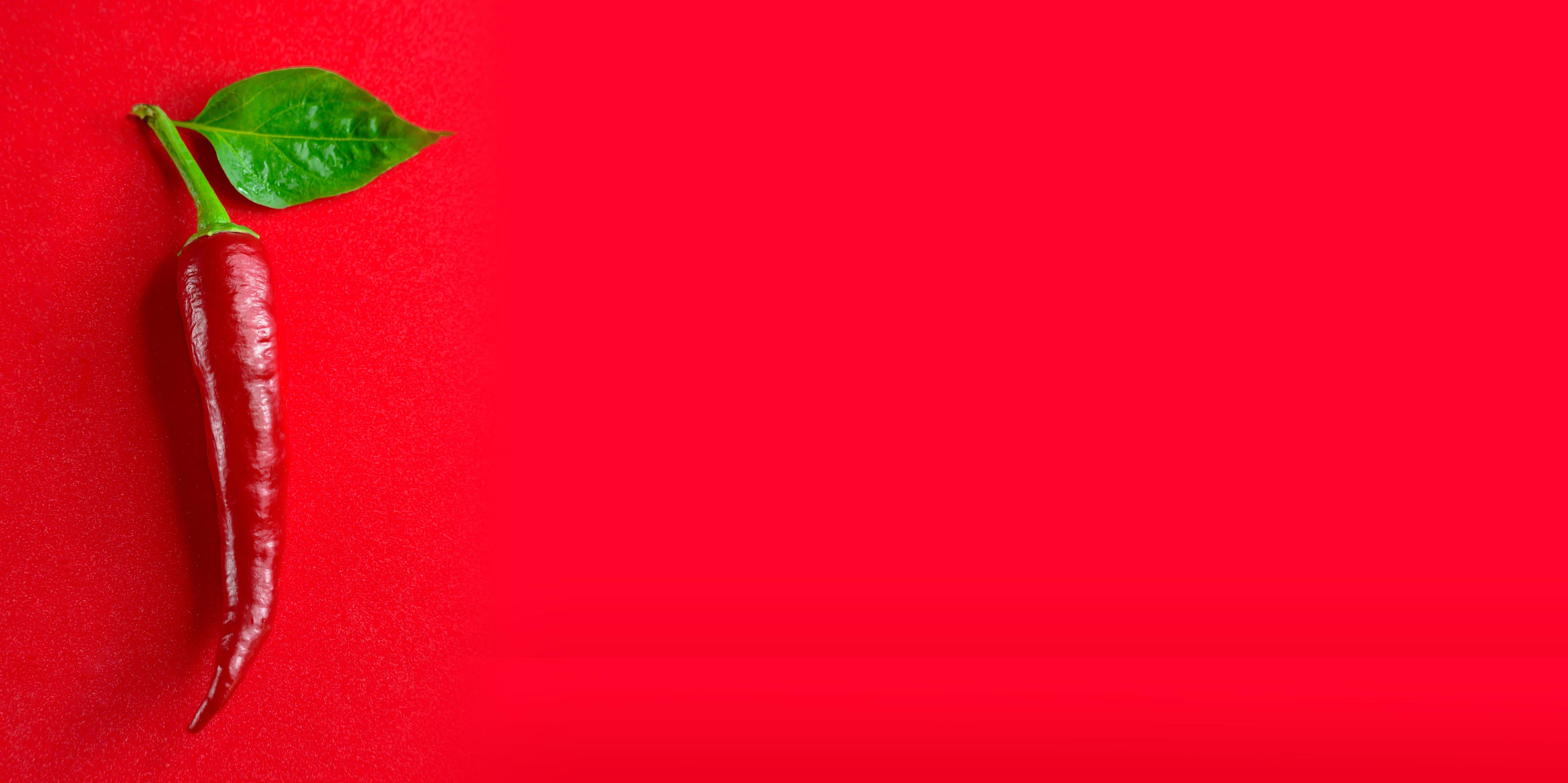 Küchenrückwand-Rote Chili mit grünem Blatt