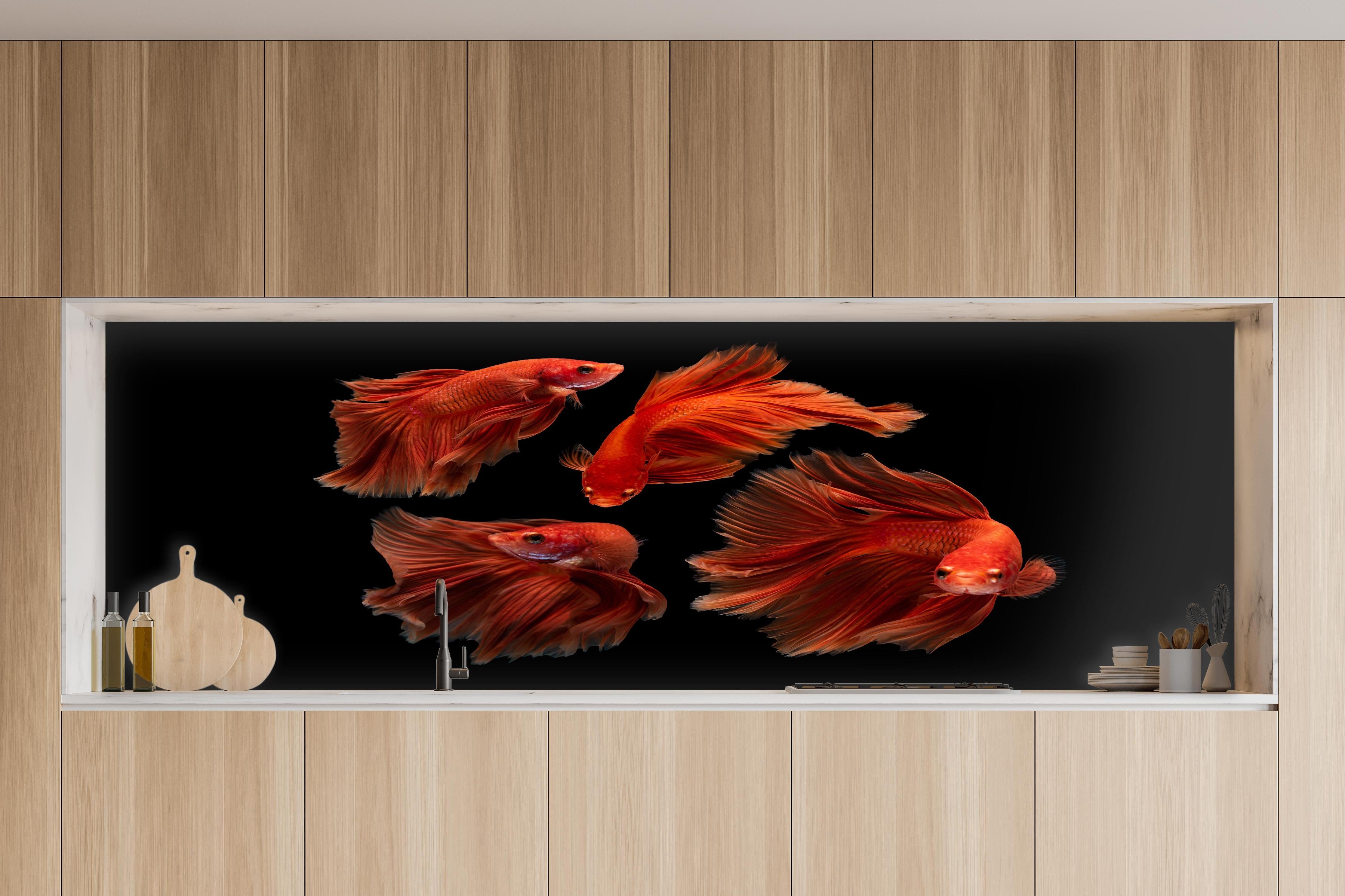 Küche - Roter Betta Fisch in charakteristischer Vollholz-Küche mit modernem Gasherd