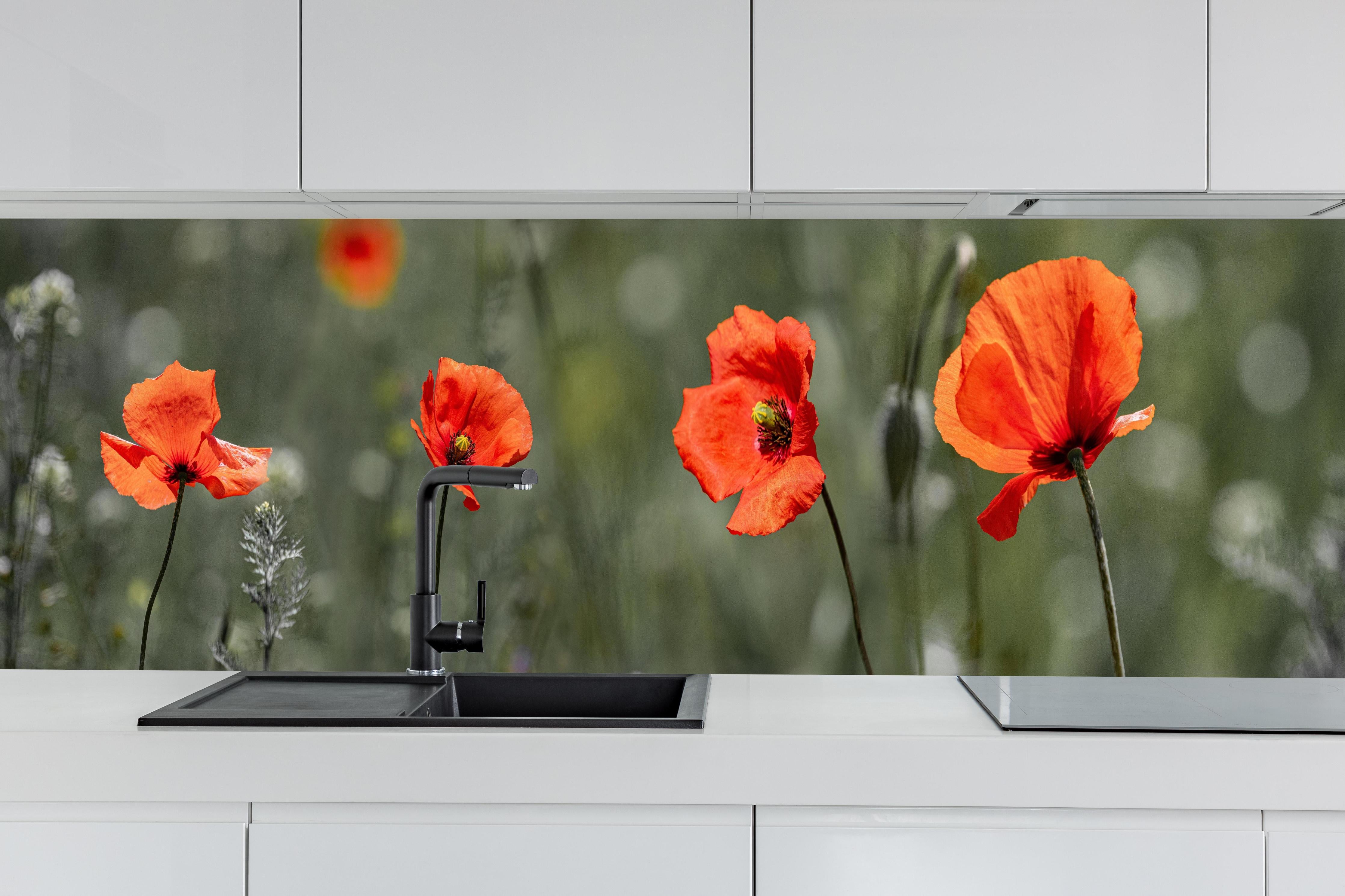 Küche - Roter Mohn inmitten des Grüns hinter weißen Hochglanz-Küchenregalen und schwarzem Wasserhahn
