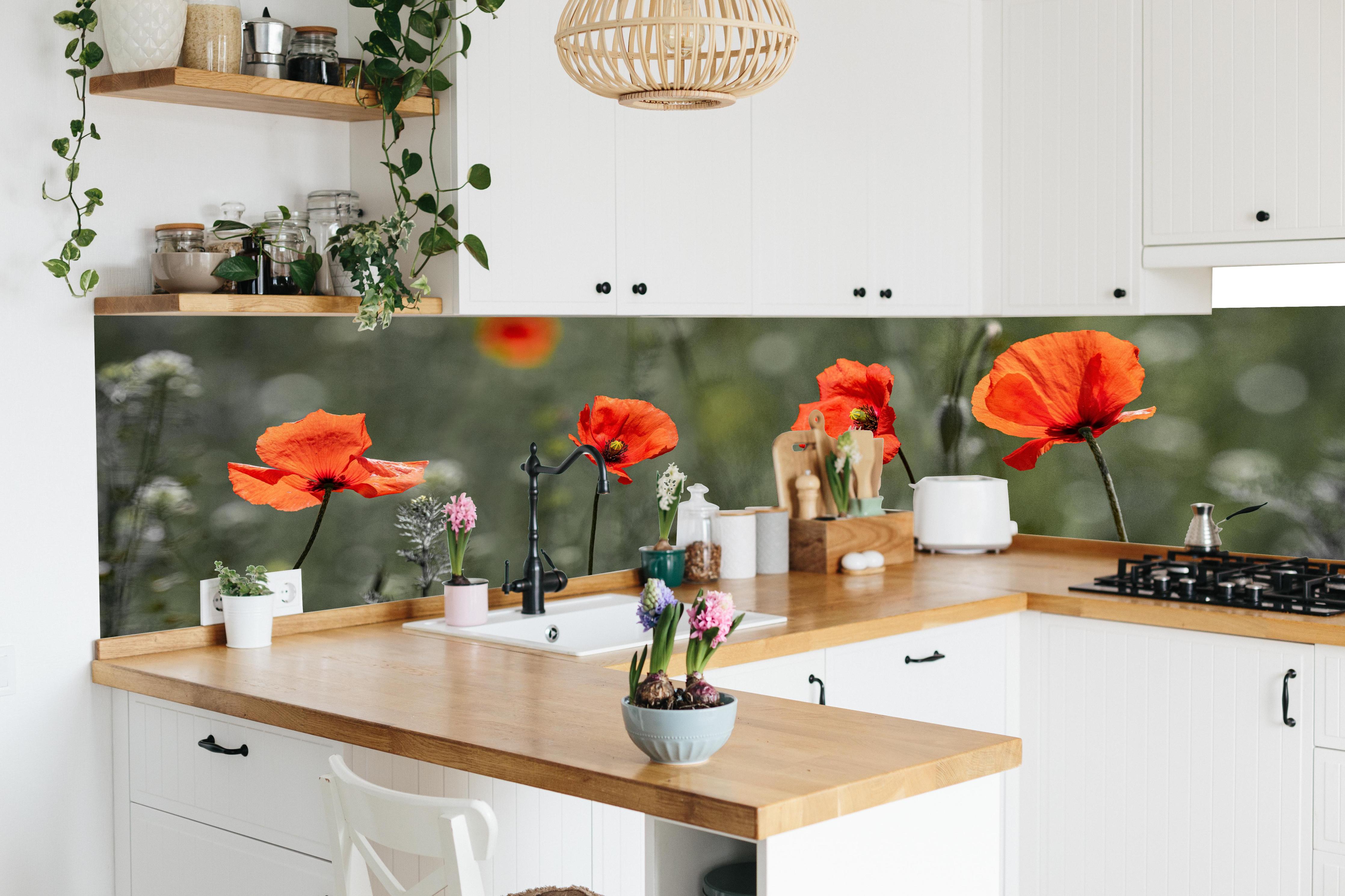 Küche - Roter Mohn inmitten des Grüns in lebendiger Küche mit bunten Blumen