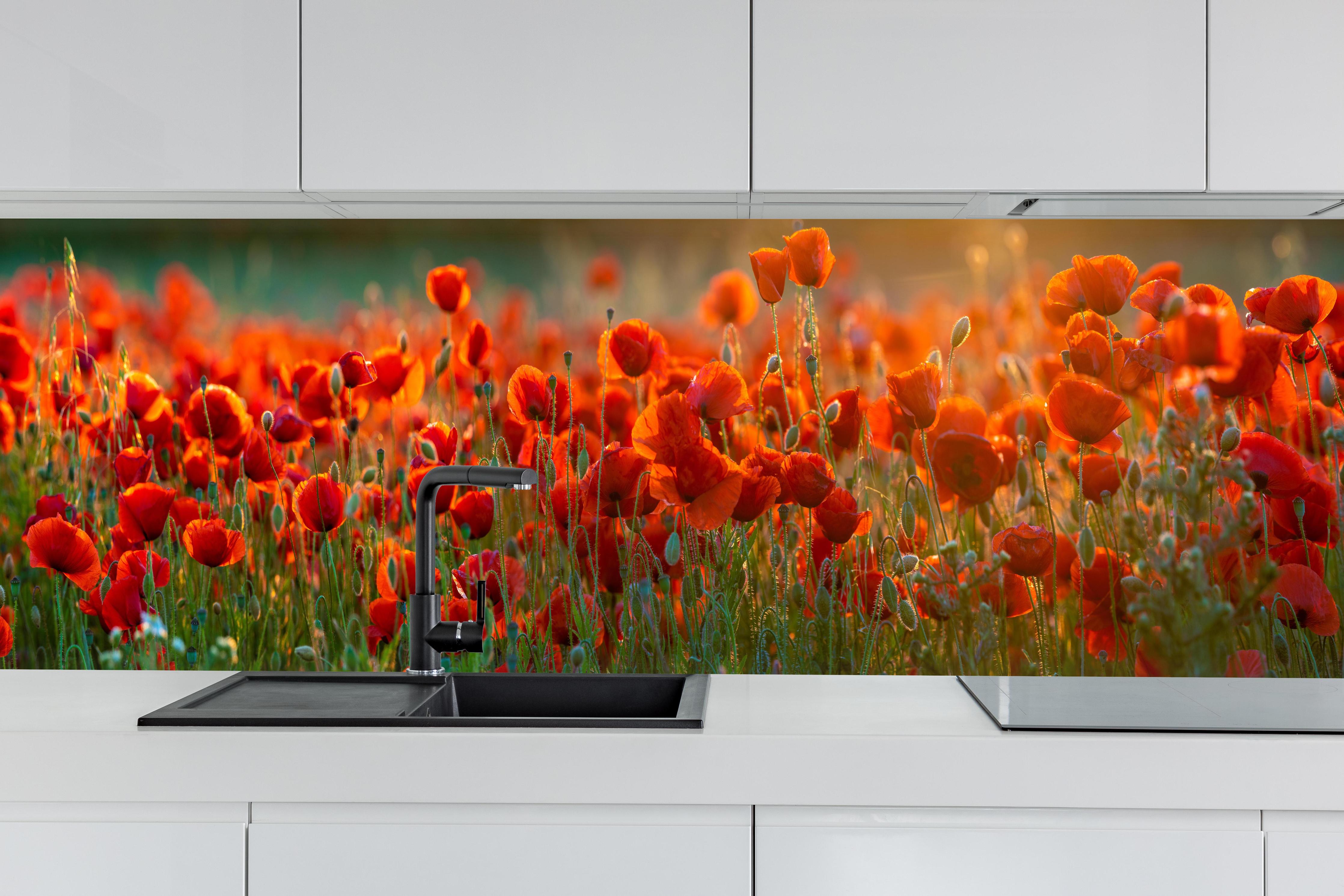 Küche - Rotes Mohnfeld Panorama hinter weißen Hochglanz-Küchenregalen und schwarzem Wasserhahn