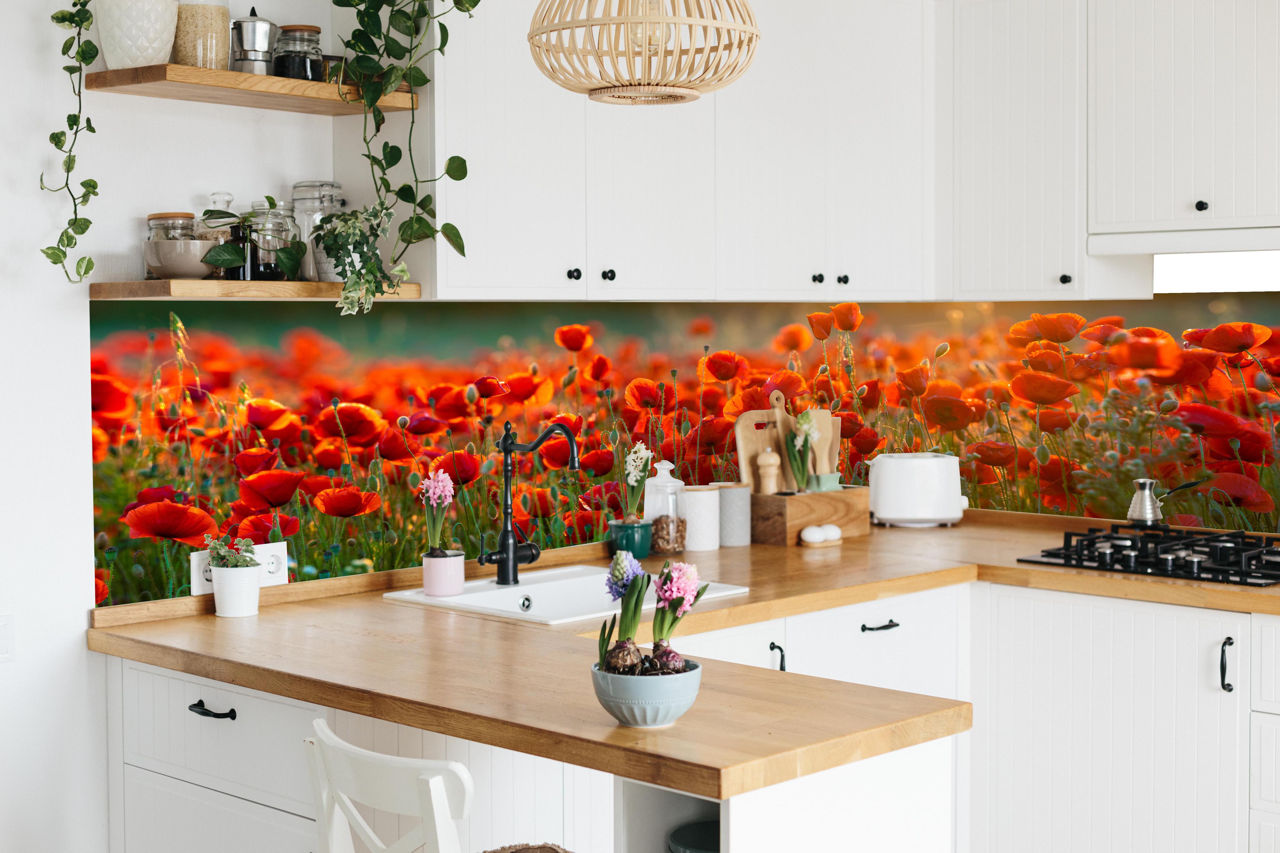 Küche - Rotes Mohnfeld Panorama in lebendiger Küche mit bunten Blumen