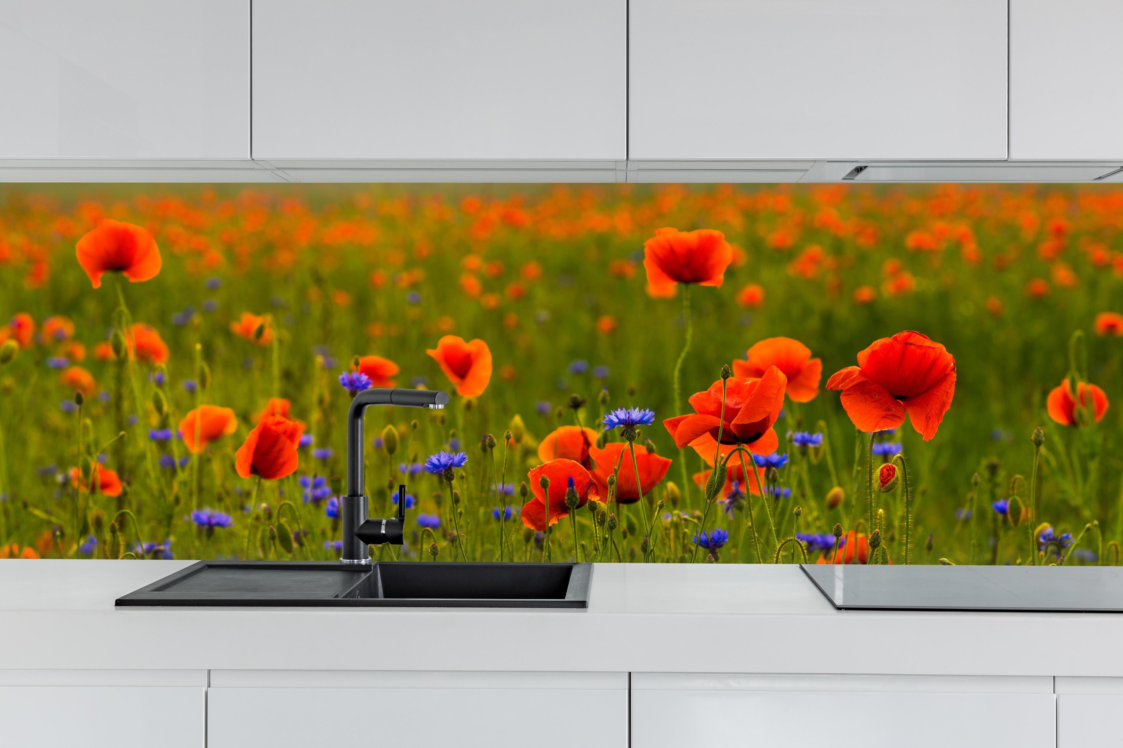 Küche - Rotes Mohnfeld mit Kornblumen hinter weißen Hochglanz-Küchenregalen und schwarzem Wasserhahn