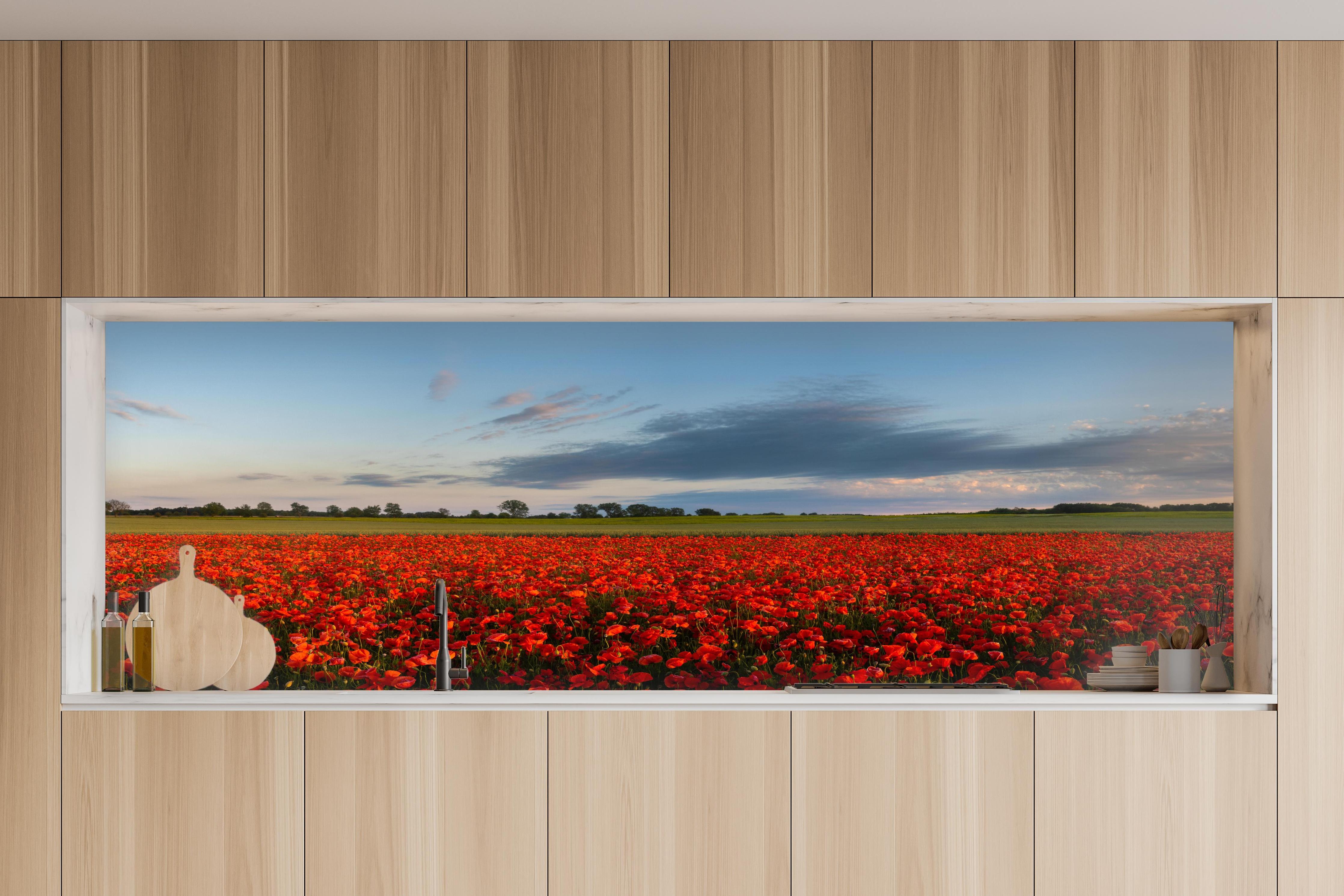 Küche - Rotes Mohnfeld unter blauem Himmel in charakteristischer Vollholz-Küche mit modernem Gasherd