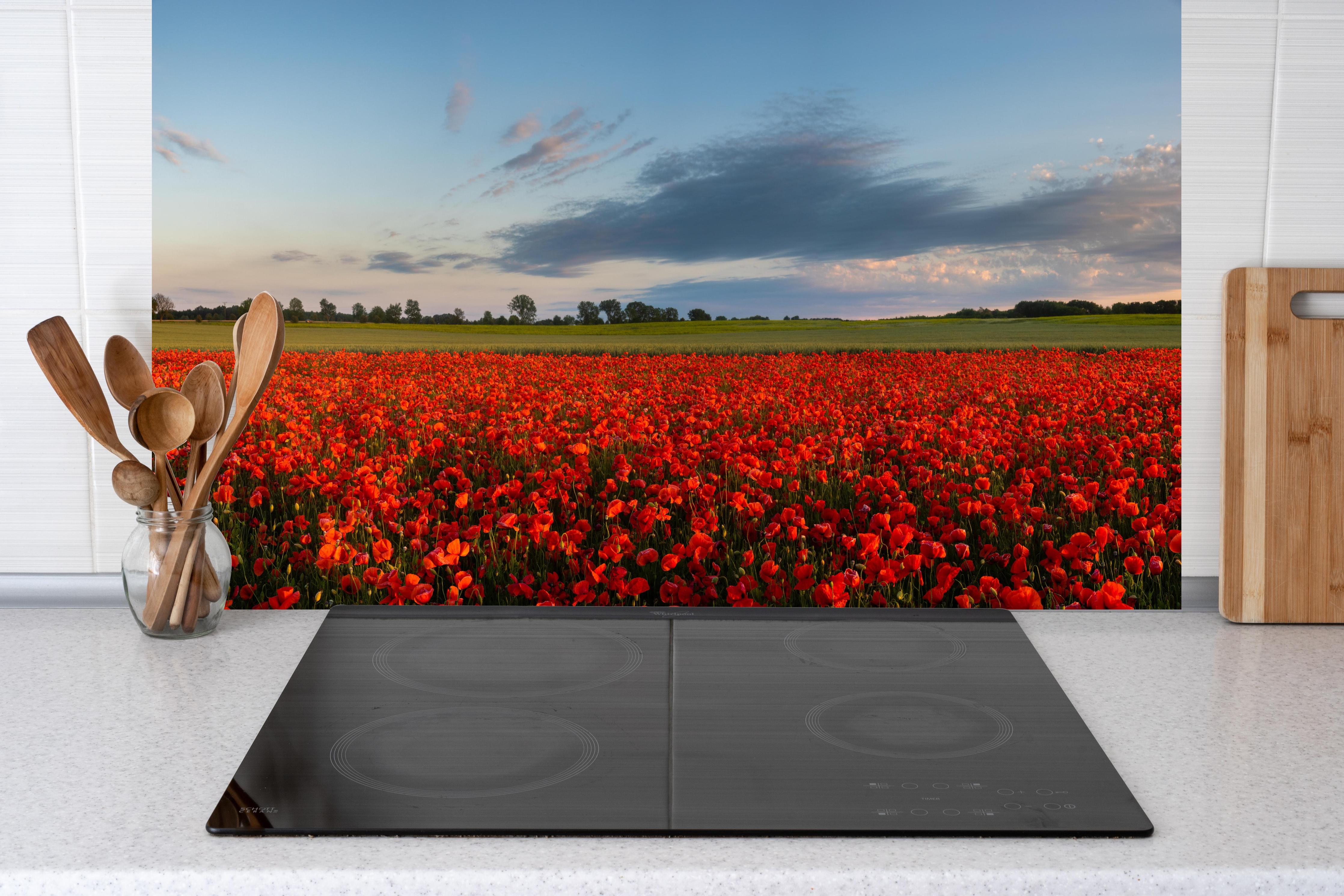 Küche - Rotes Mohnfeld unter blauem Himmel hinter Cerankochfeld und Holz-Kochutensilien