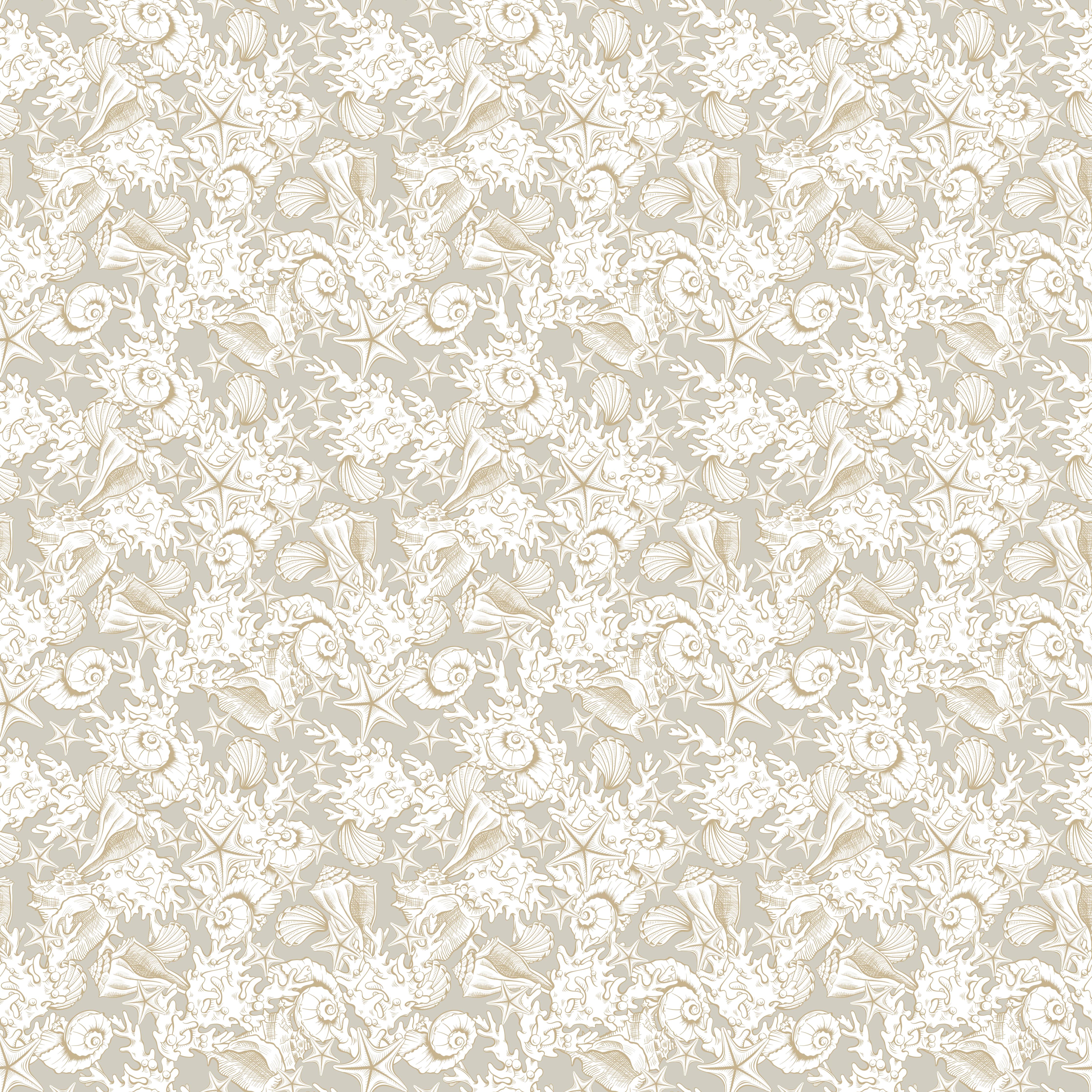 Küchenrückwand-Sandiges Muschel-Muster Beige