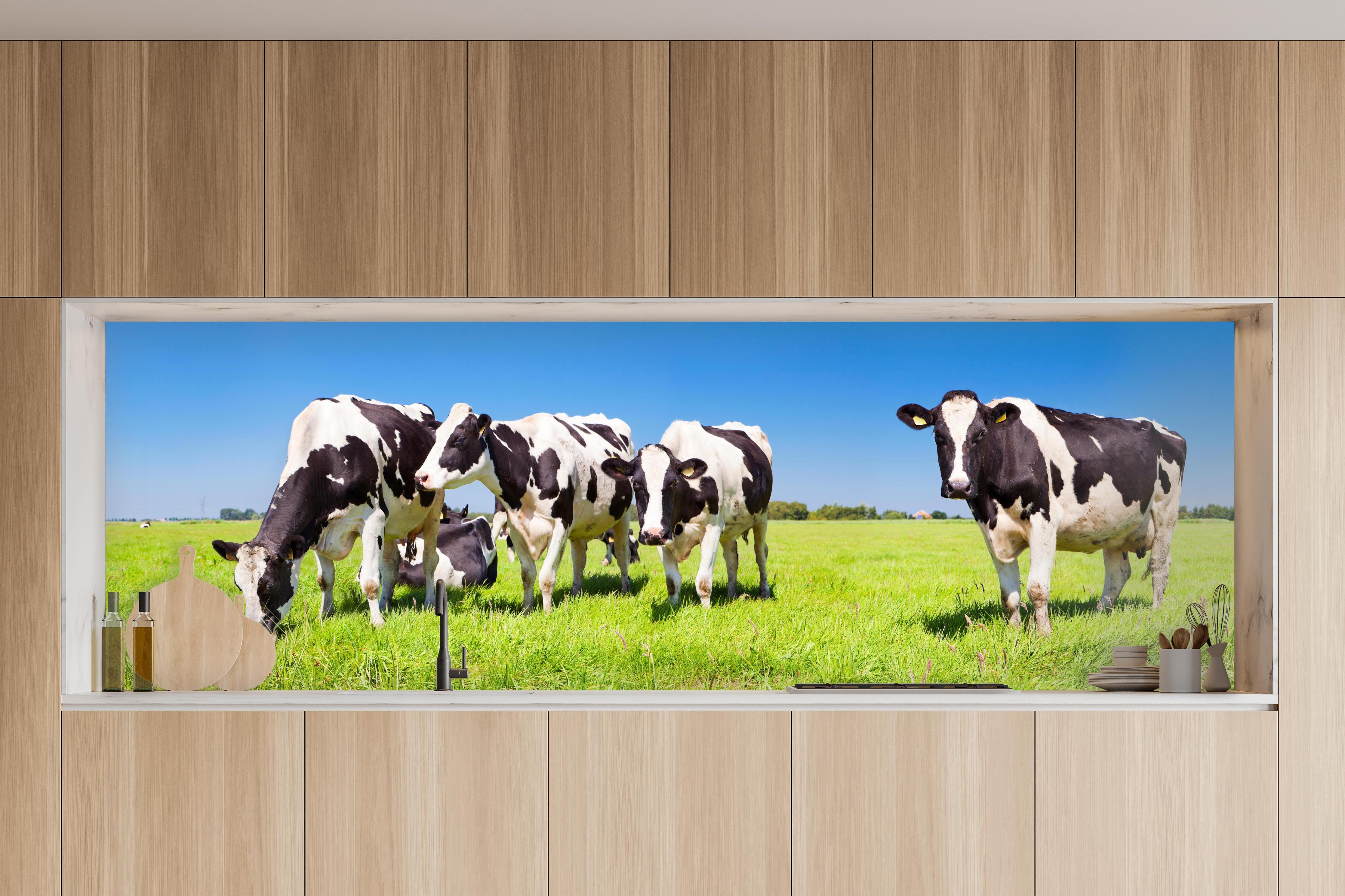 Küche - Schwarz-Weiß-Kühe auf grüner Weide in charakteristischer Vollholz-Küche mit modernem Gasherd