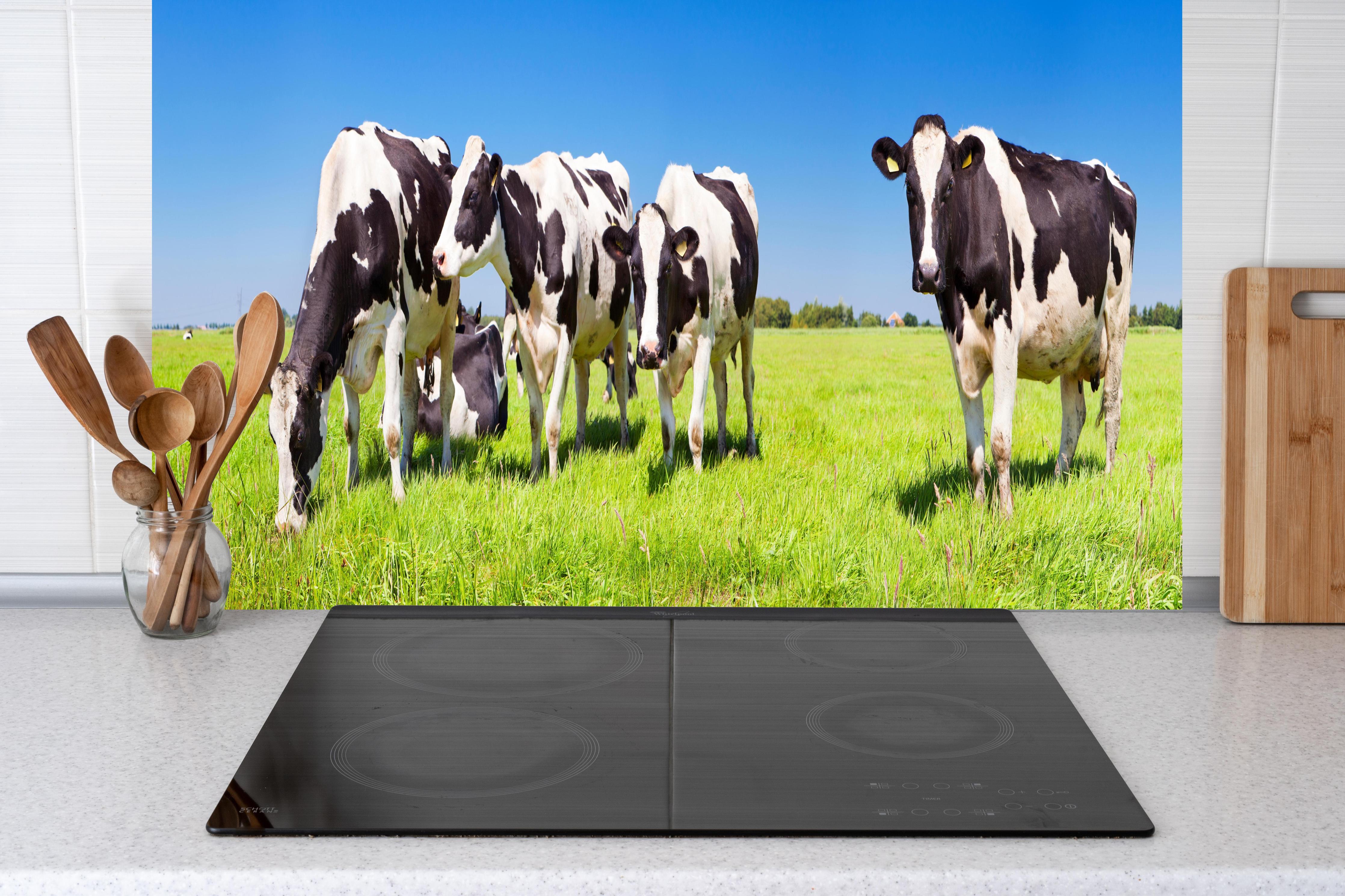 Küche - Schwarz-Weiß-Kühe auf grüner Weide hinter Cerankochfeld und Holz-Kochutensilien