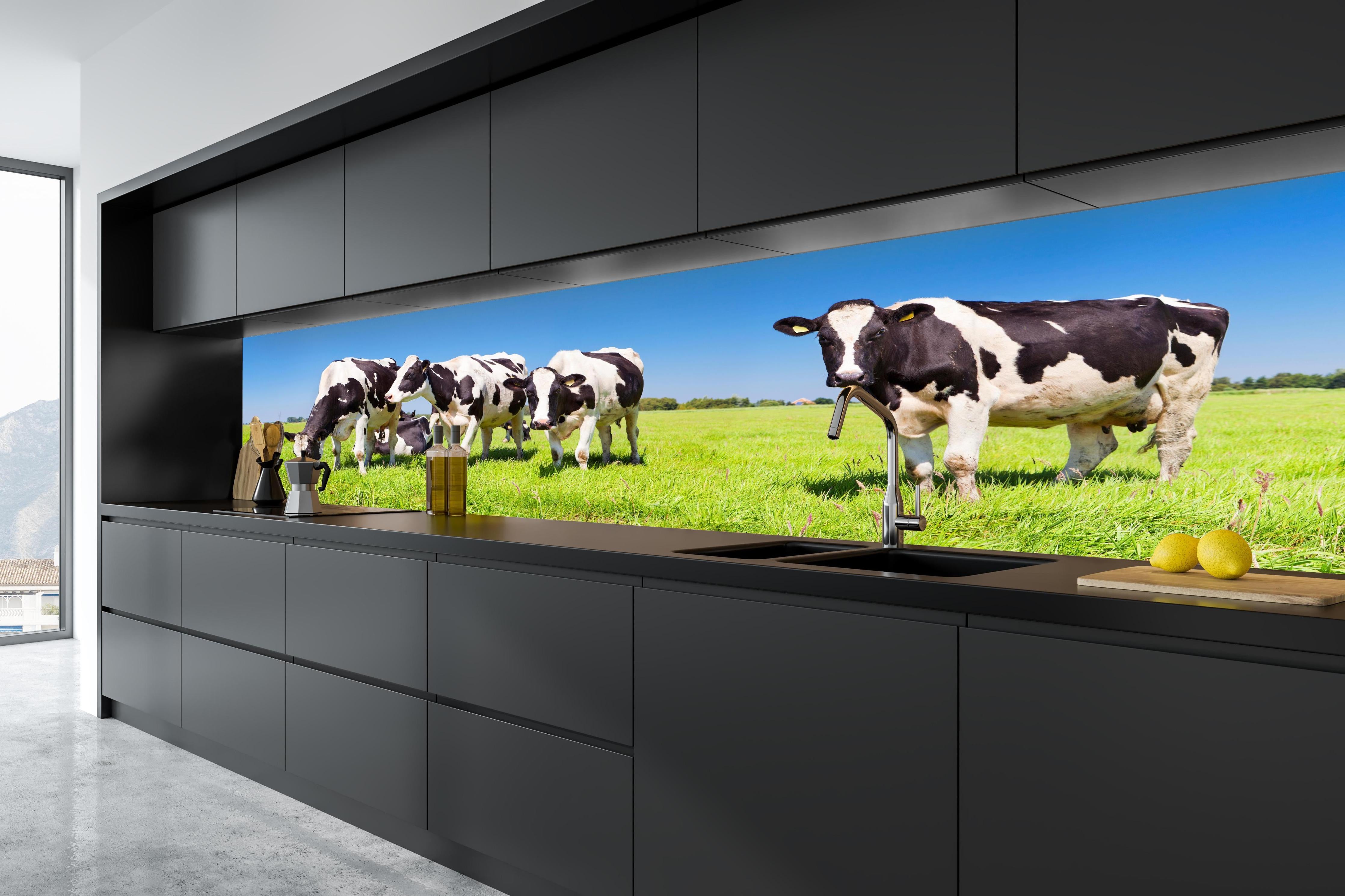 Küche - Schwarz-Weiß-Kühe auf grüner Weide in tiefschwarzer matt-premium Einbauküche