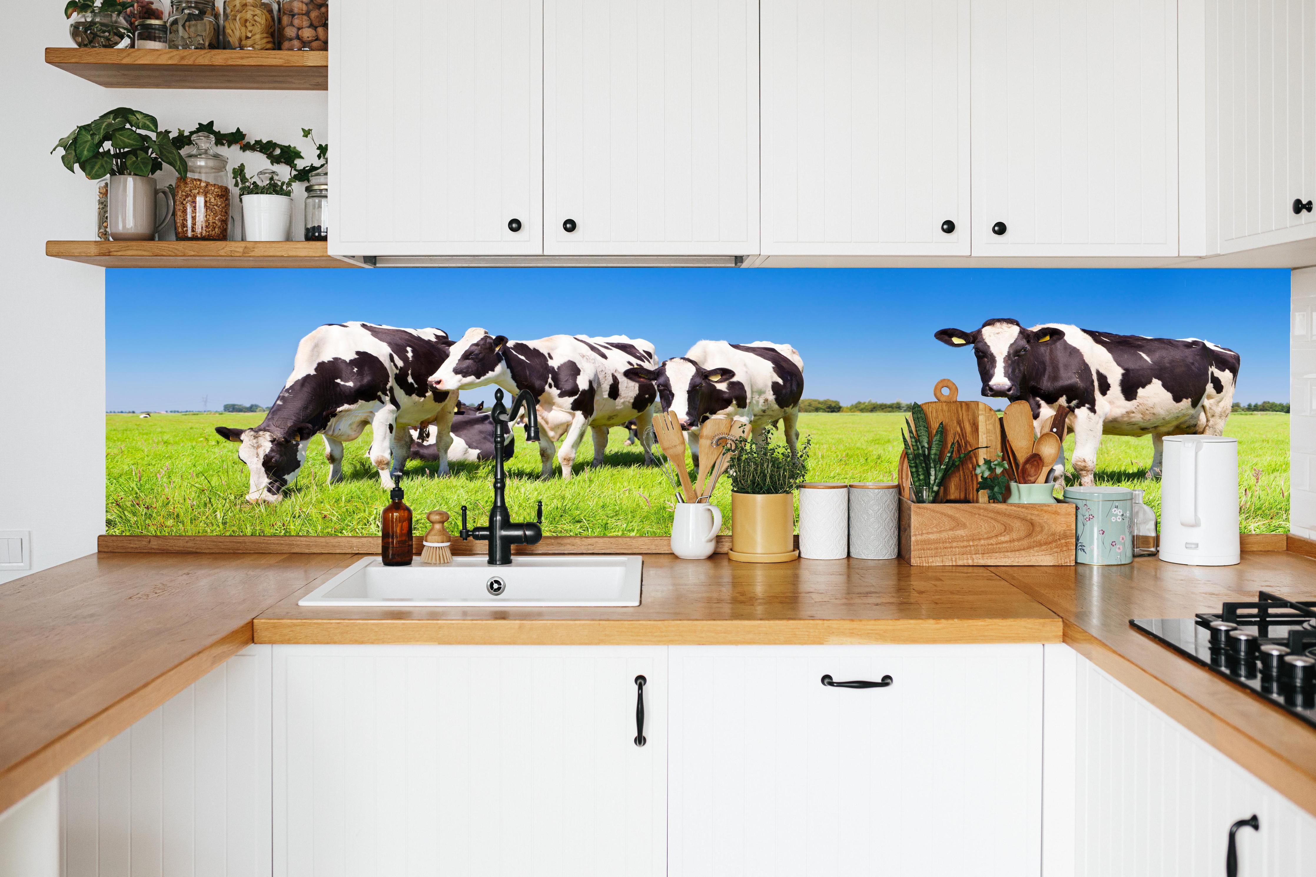 Küche - Schwarz-Weiß-Kühe auf grüner Weide in weißer Küche hinter Gewürzen und Kochlöffeln aus Holz