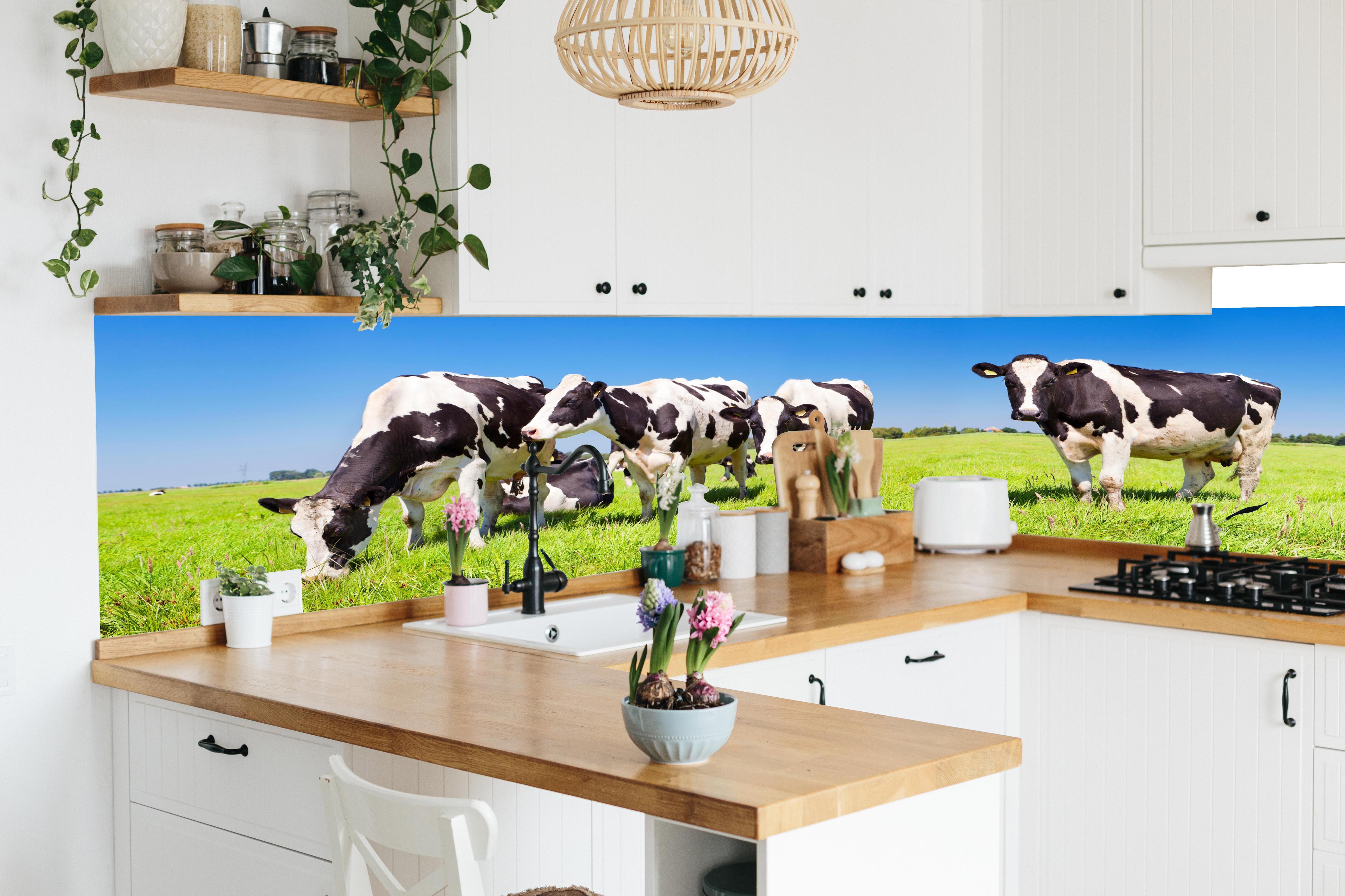 Küche - Schwarz-Weiß-Kühe auf grüner Weide in lebendiger Küche mit bunten Blumen