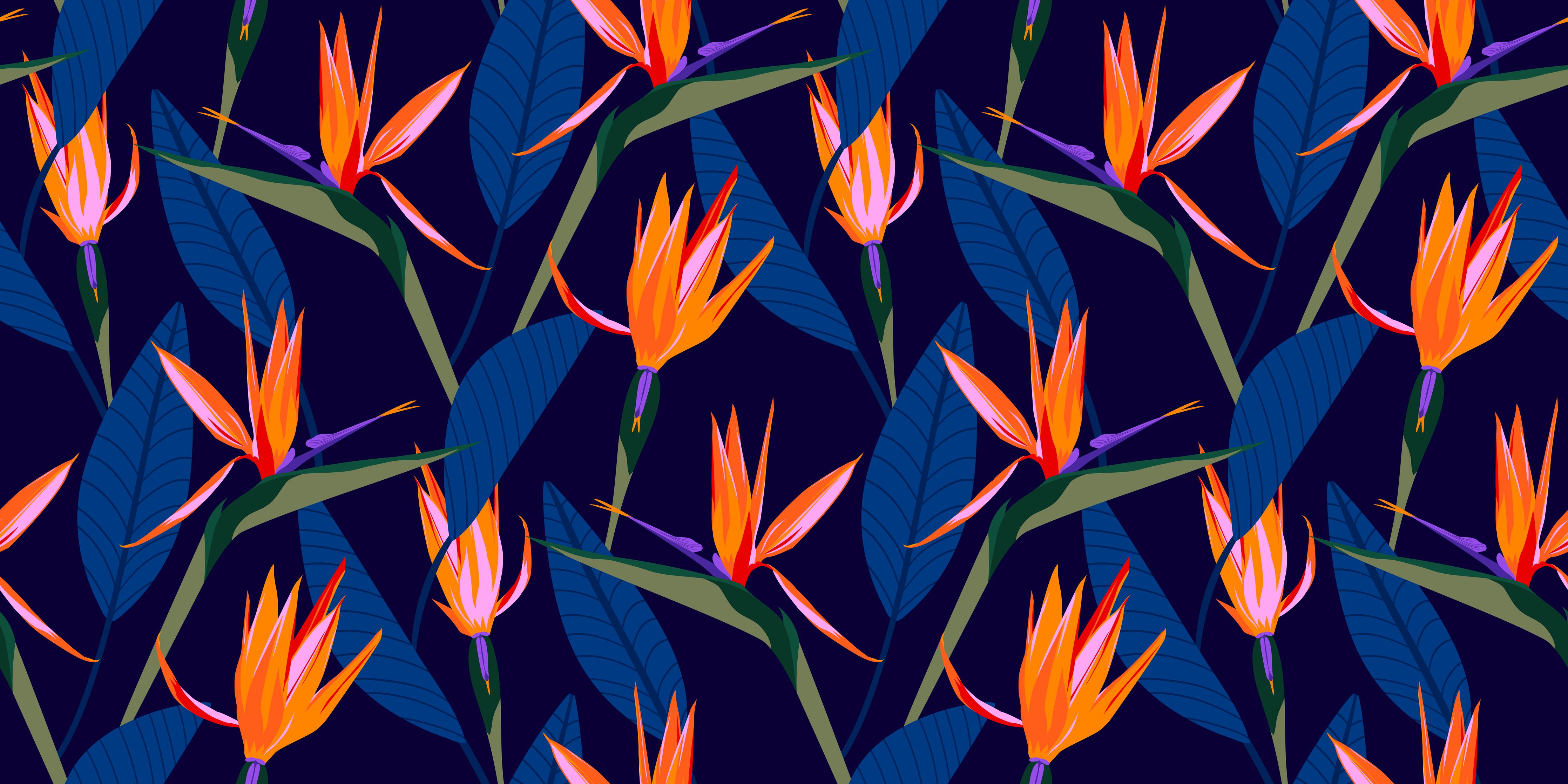 Küchenrückwand-Strelitzia Nacht – Tropische Blumen