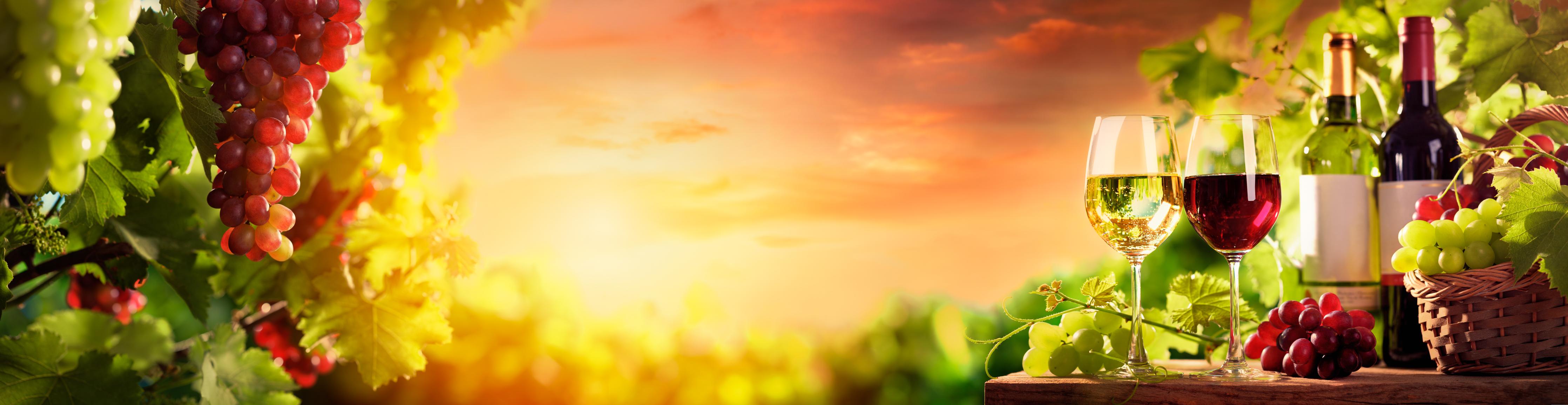 Küchenrückwand-Weintrauben und Wein im Sonnenuntergang