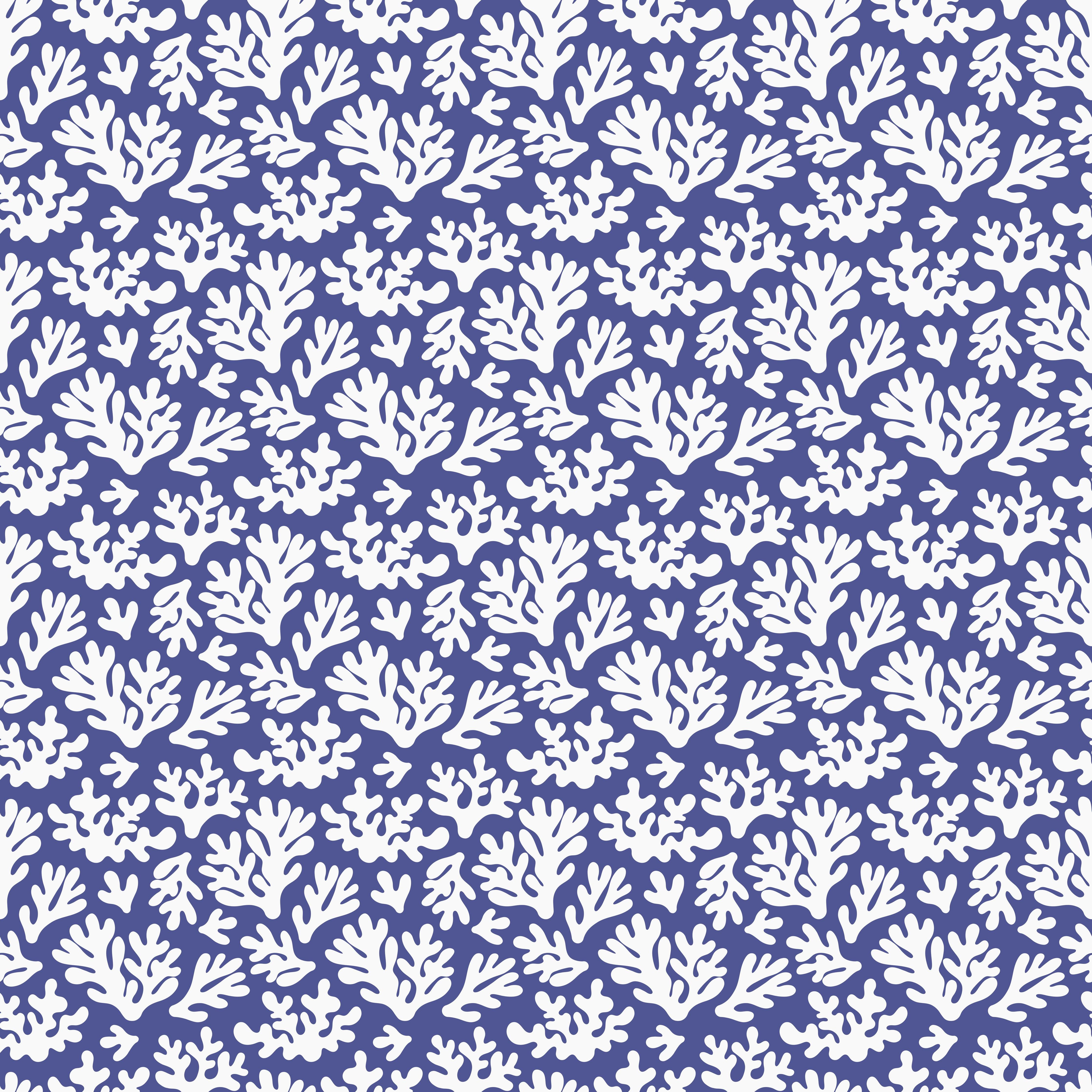 Küchenrückwand-Weiße Korallen auf Blau