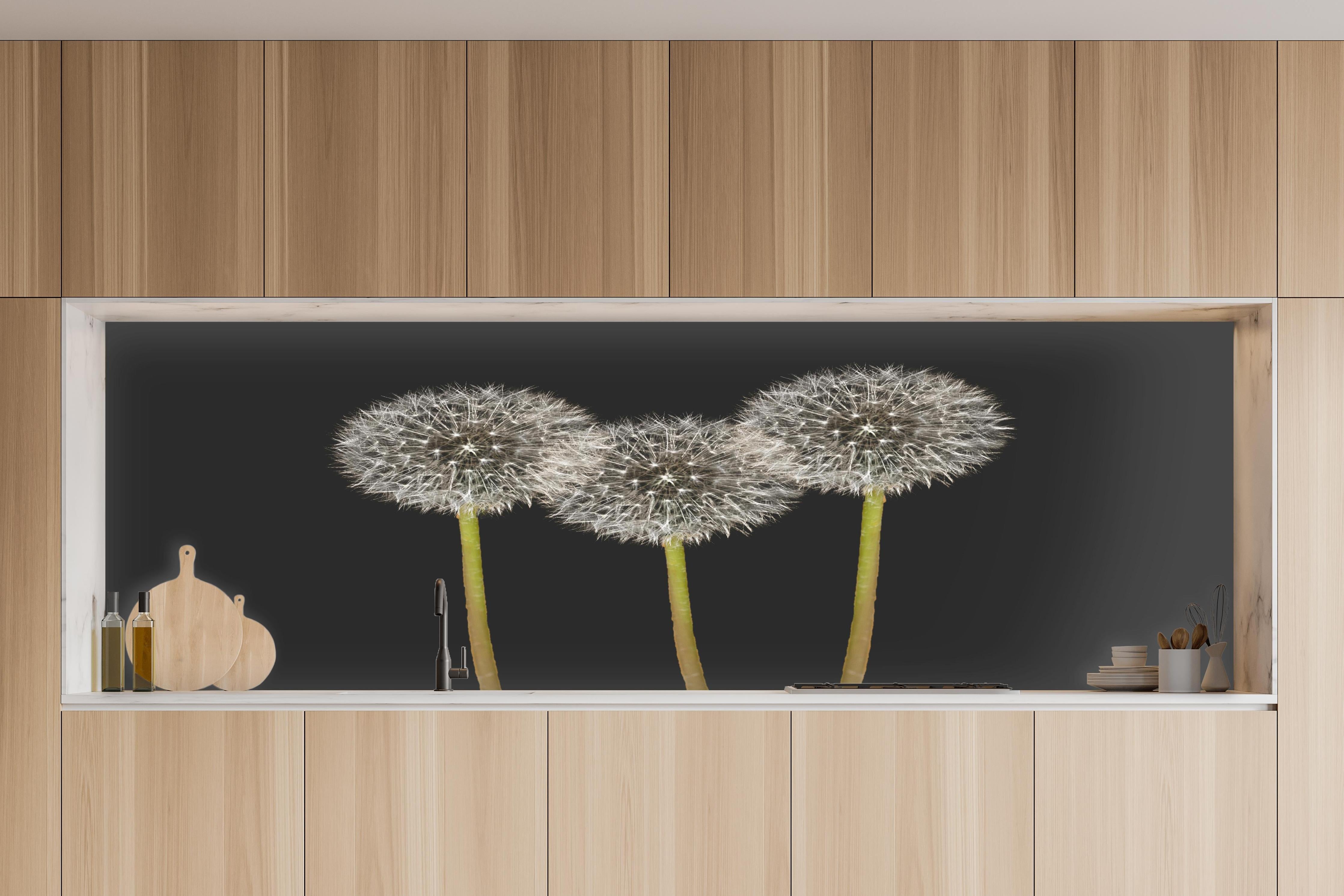 Küche - Weiße Pusteblumen auf Schwarz in charakteristischer Vollholz-Küche mit modernem Gasherd