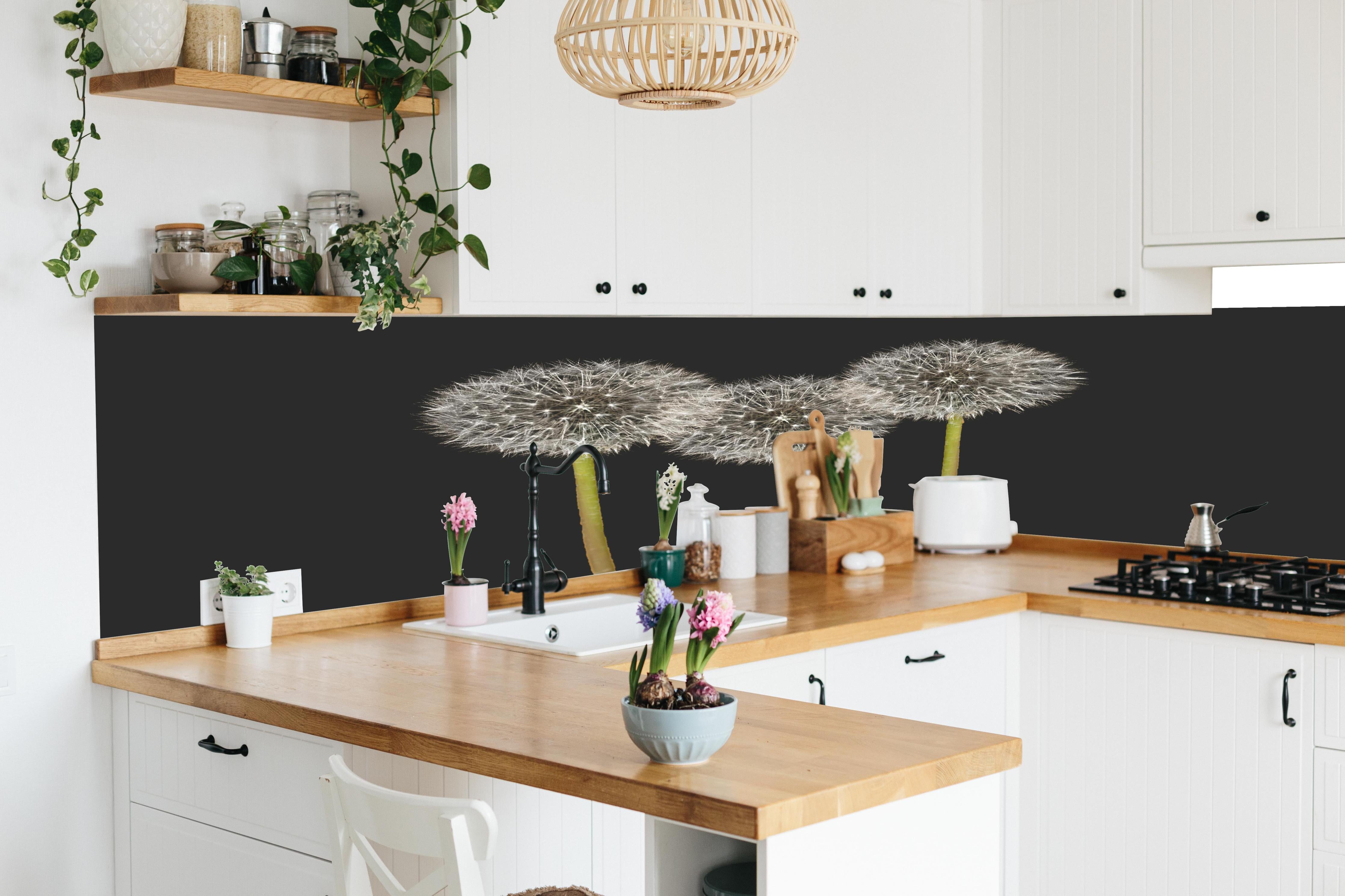 Küche - Weiße Pusteblumen auf Schwarz in lebendiger Küche mit bunten Blumen