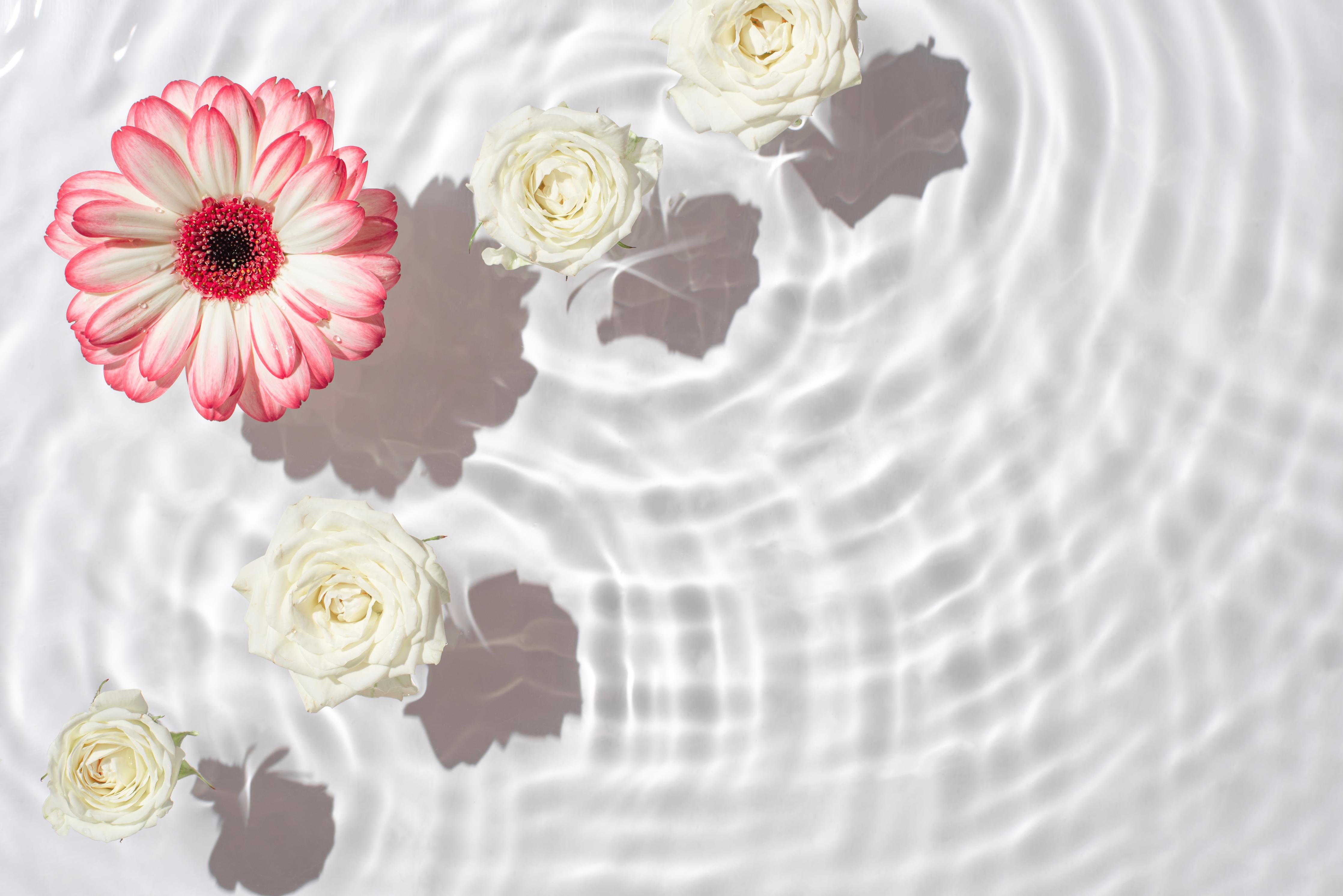 Küchenrückwand-Weiße Wasserblumen mit Rosa-Akzent