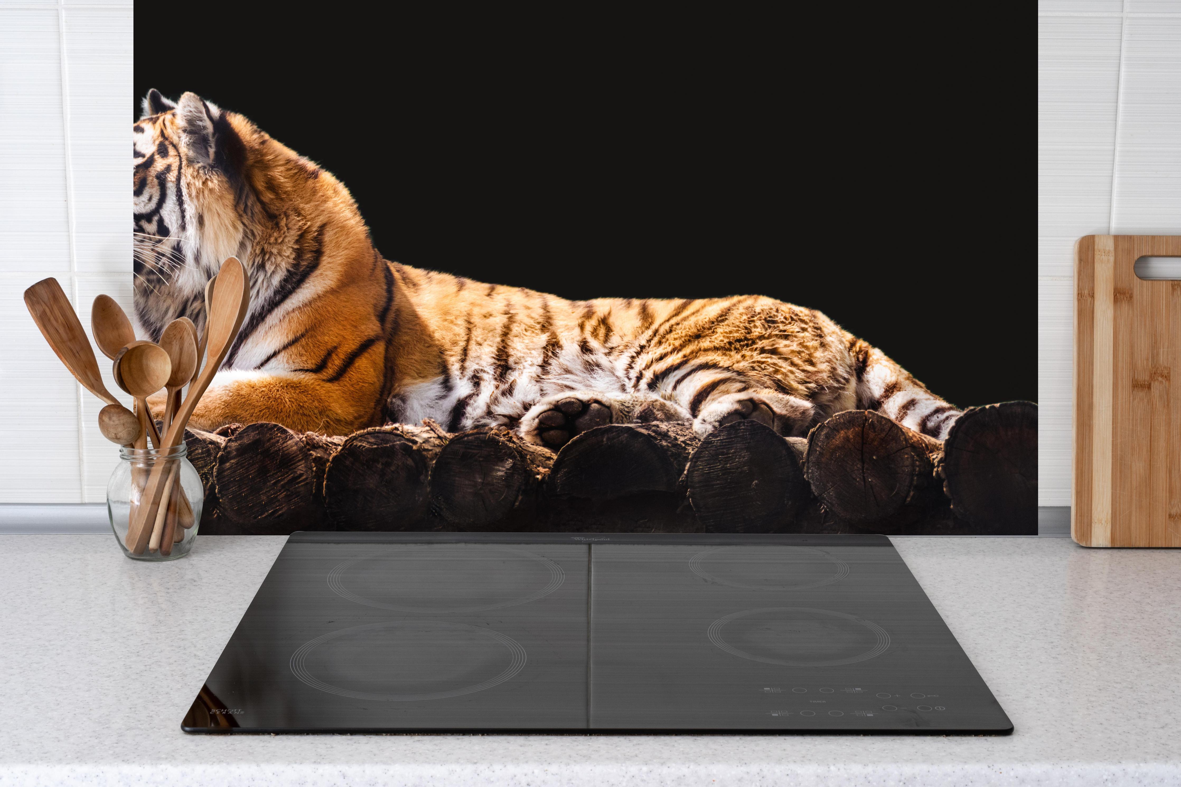Küche - Amurtiger liegend auf Holzdeck mit Schwarzem Hintergrund hinter Cerankochfeld und Holz-Kochutensilien