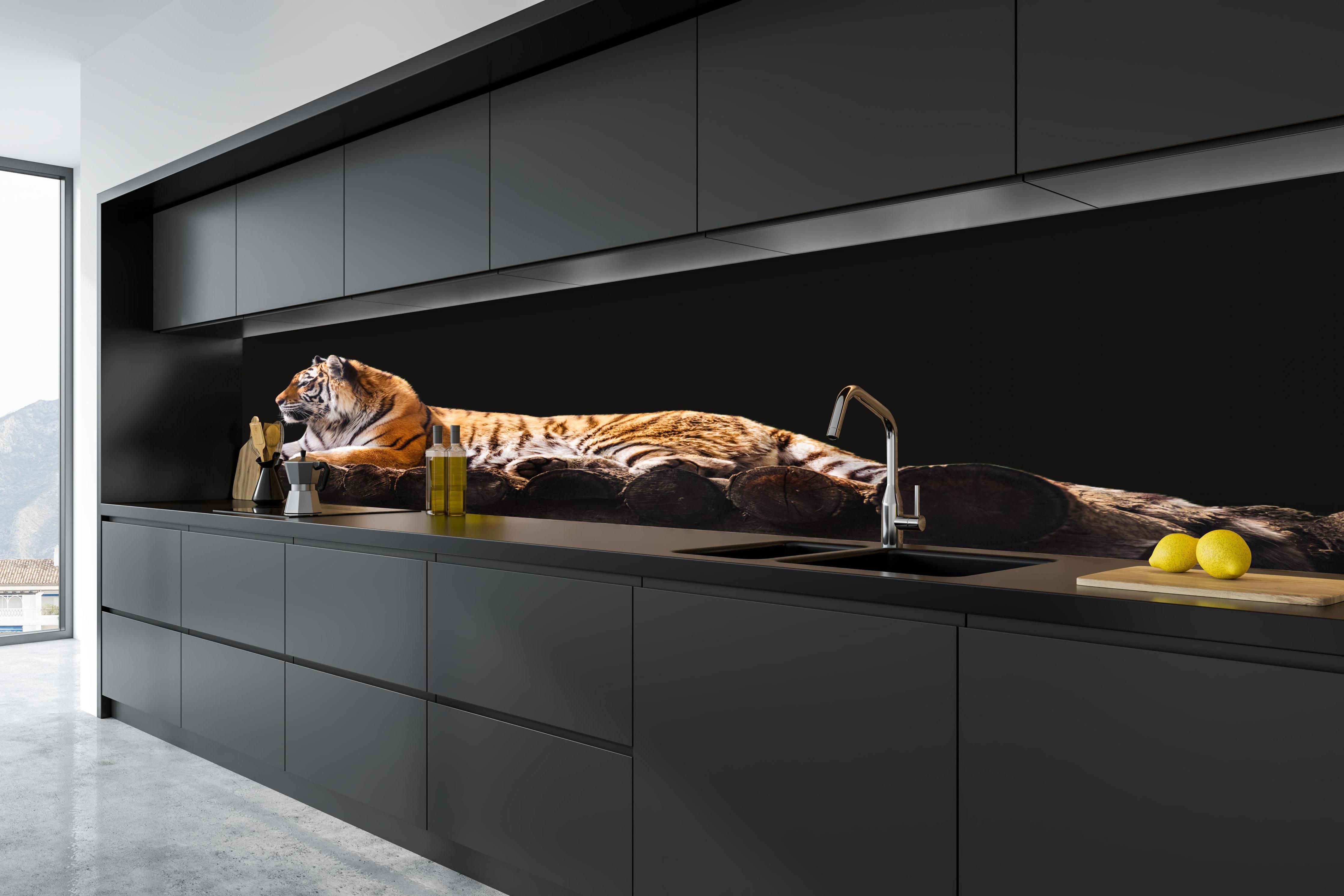 Küche - Amurtiger liegend auf Holzdeck mit Schwarzem Hintergrund in tiefschwarzer matt-premium Einbauküche