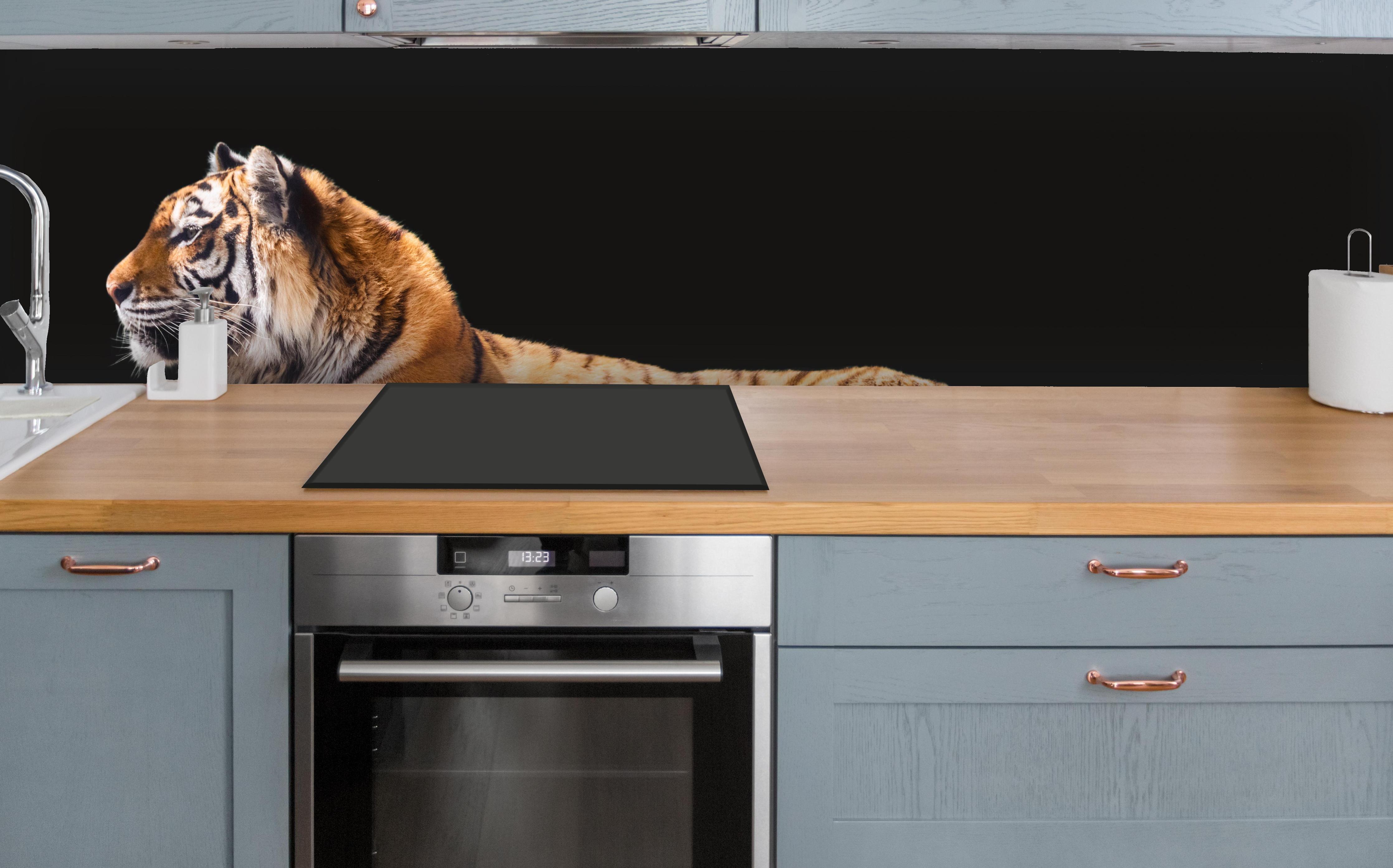 Küche - Amurtiger liegend auf Holzdeck mit Schwarzem Hintergrund über polierter Holzarbeitsplatte mit Cerankochfeld
