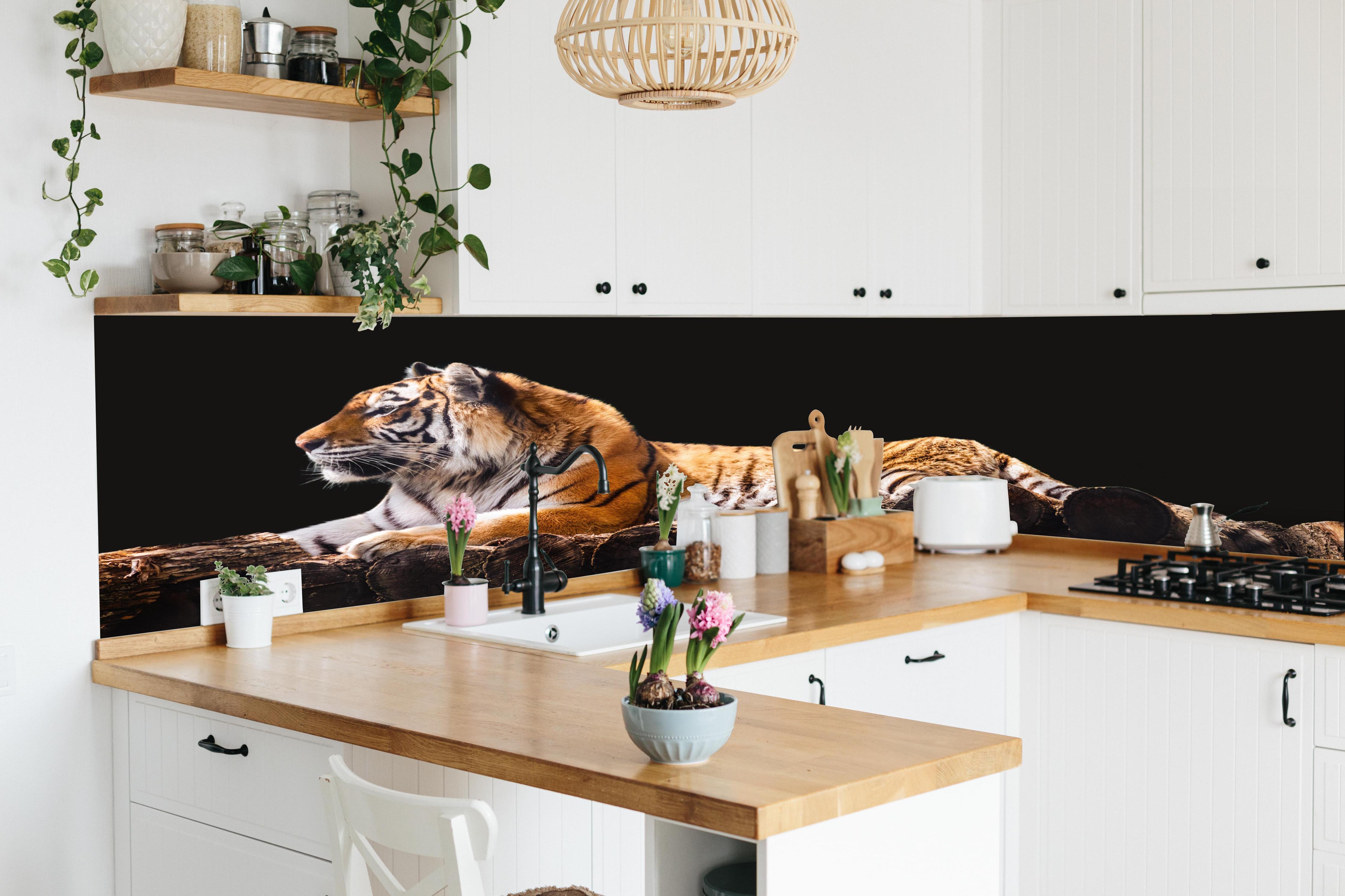 Küche - Amurtiger liegend auf Holzdeck mit Schwarzem Hintergrund in lebendiger Küche mit bunten Blumen