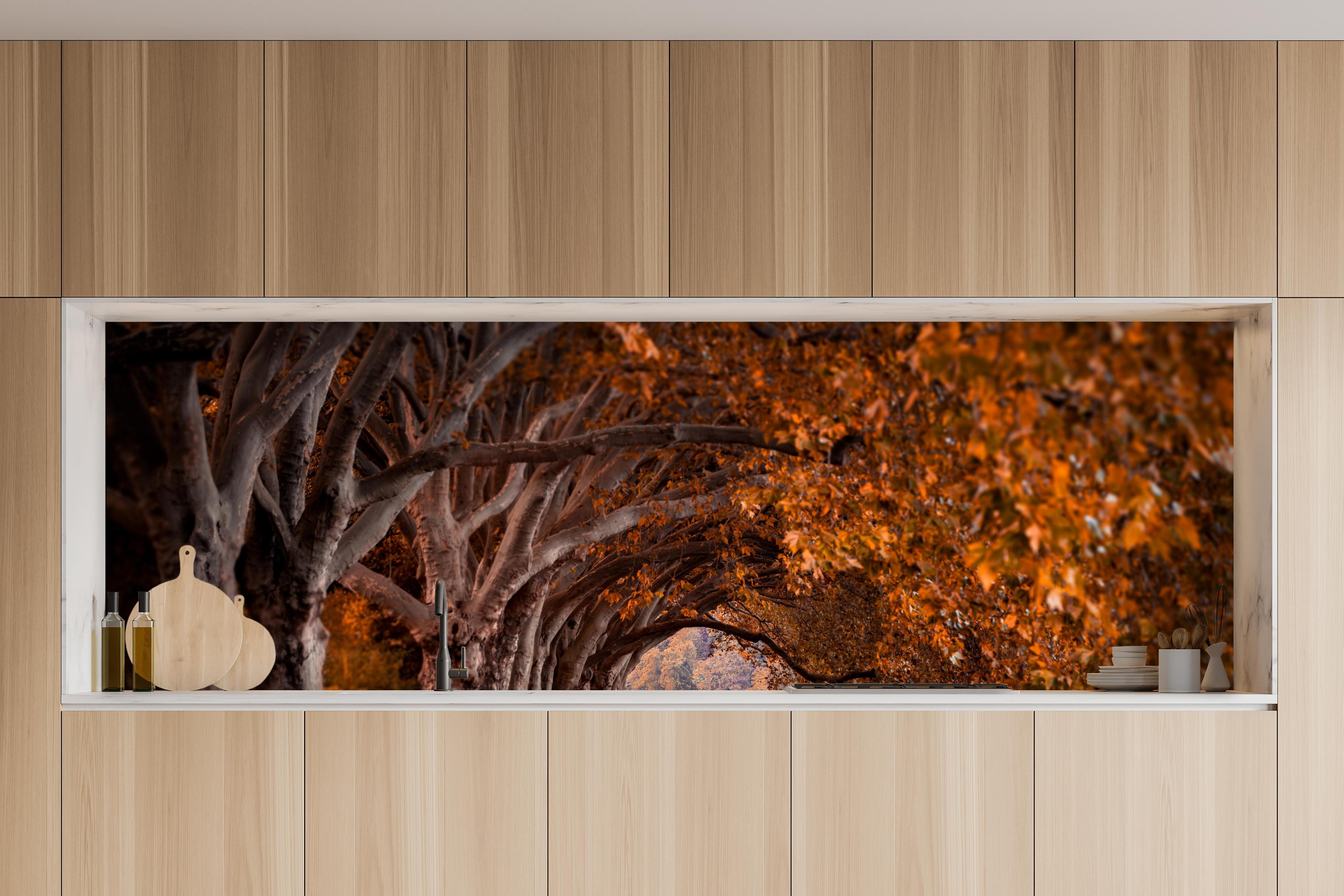 Küche - Baldeneysee in Essen im Herbst in charakteristischer Vollholz-Küche mit modernem Gasherd