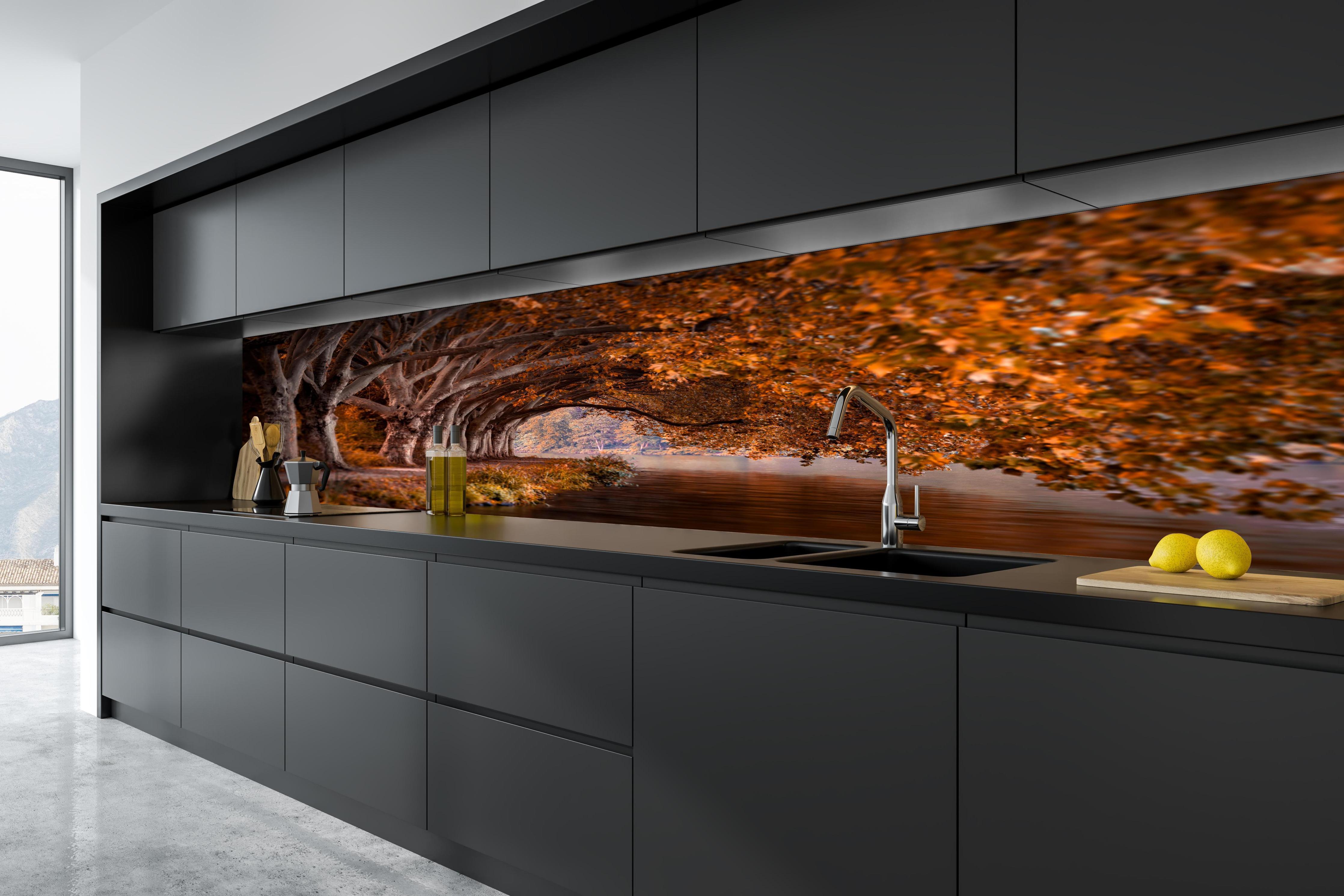 Küche - Baldeneysee in Essen im Herbst in tiefschwarzer matt-premium Einbauküche