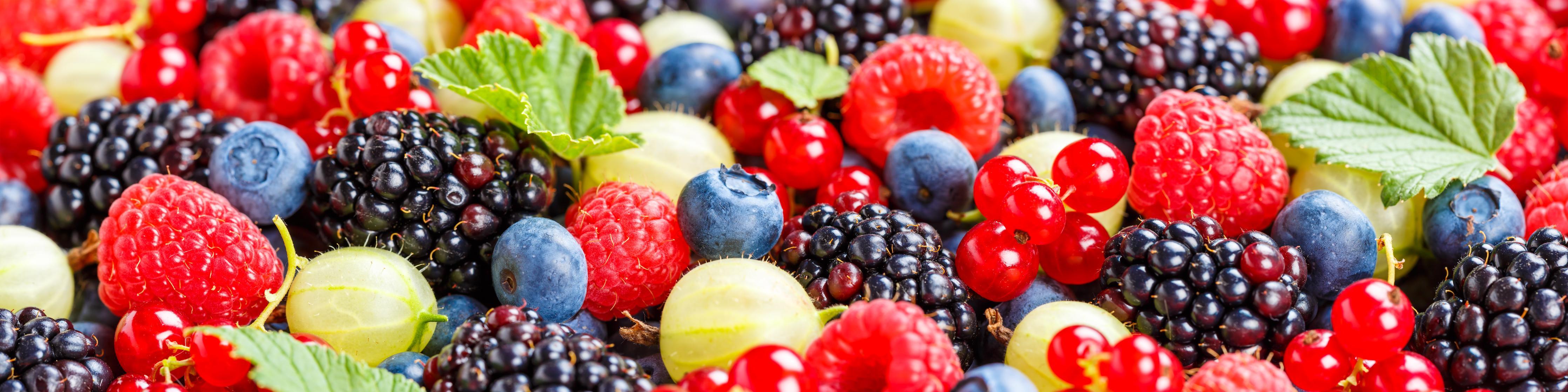 Küchenrückwand-Beerenmischung