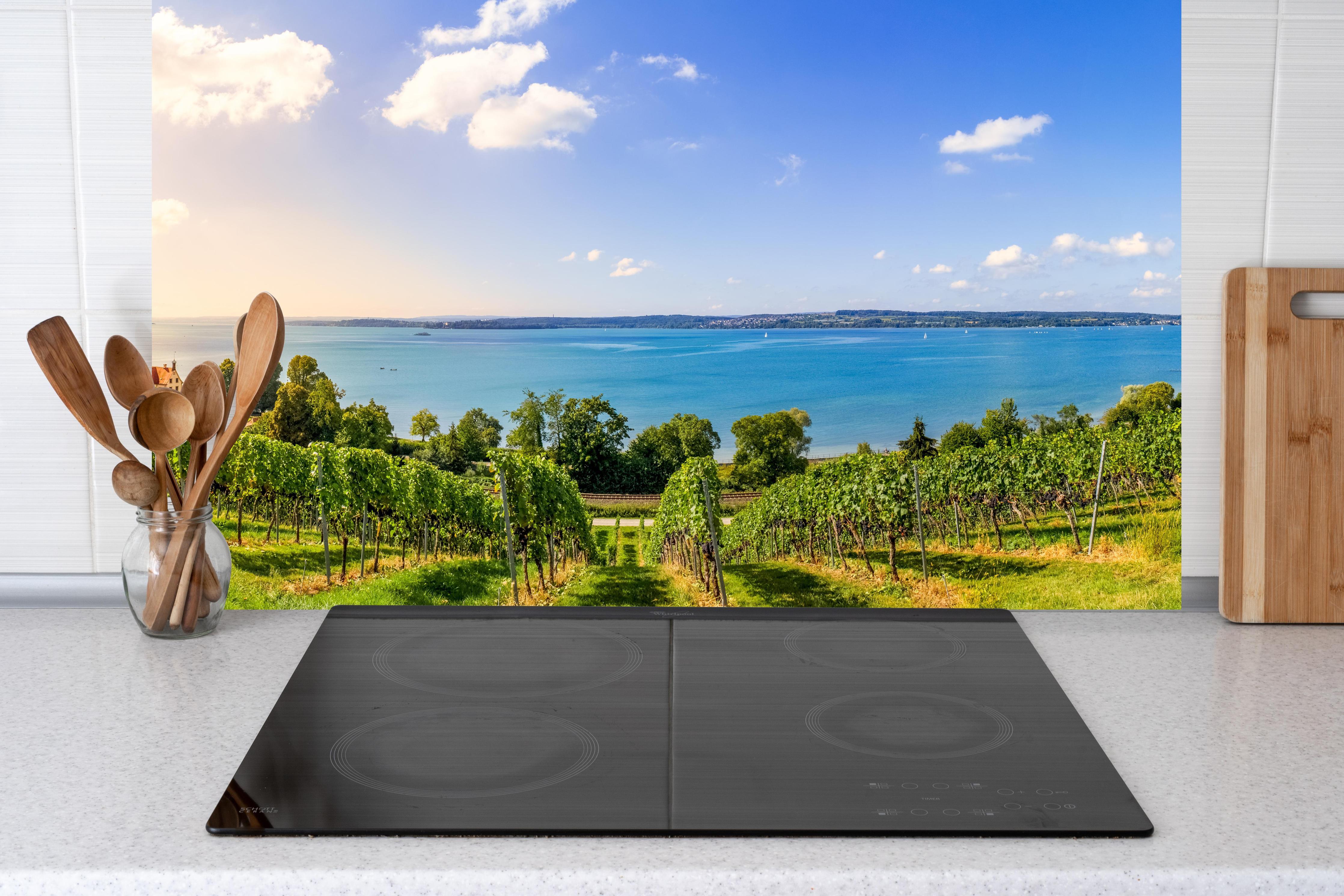 Küche - Bodensee Panorama in Birnau hinter Cerankochfeld und Holz-Kochutensilien