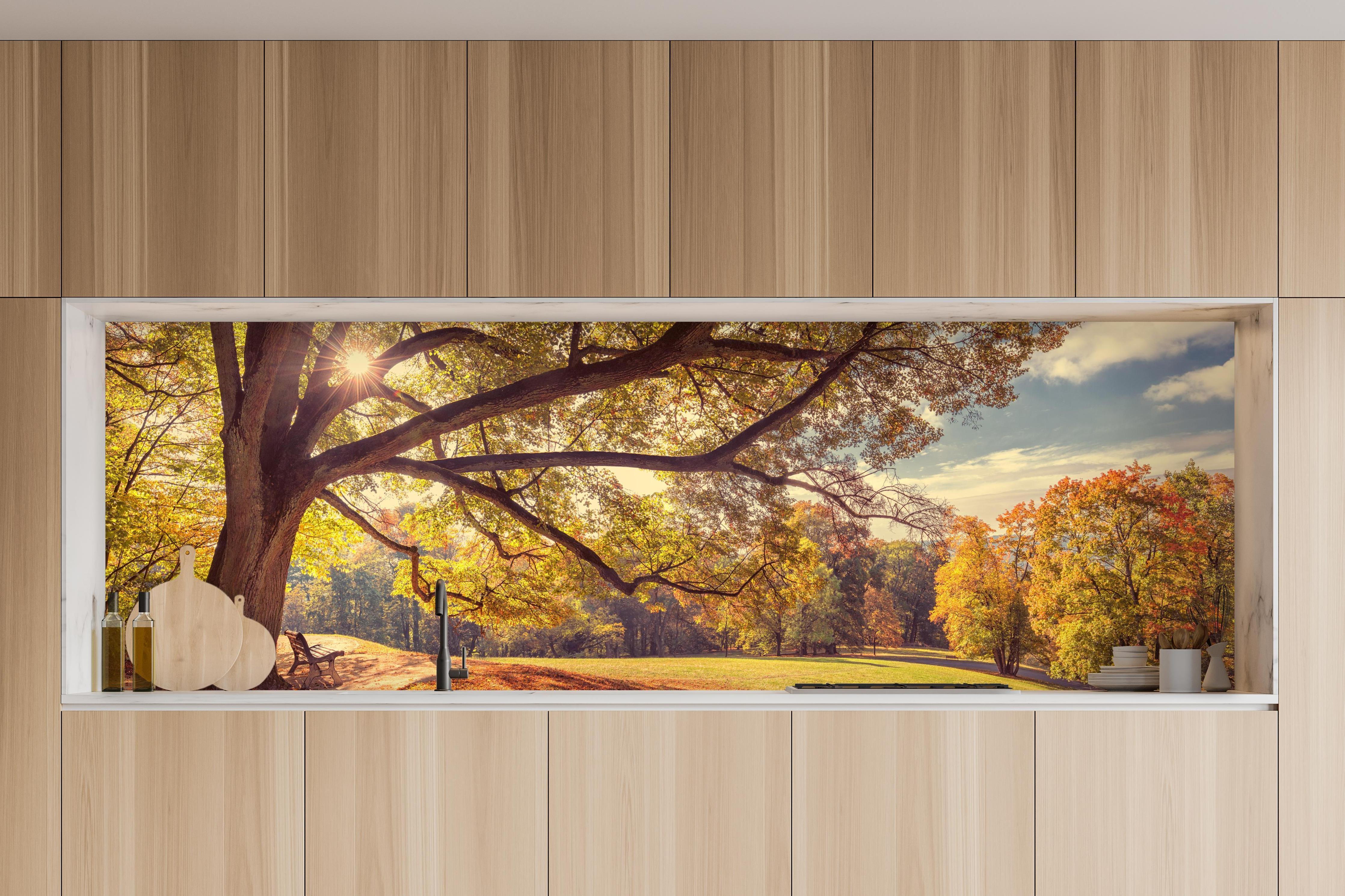 Küche - Coburg Hofgarten - Oberfranken in charakteristischer Vollholz-Küche mit modernem Gasherd