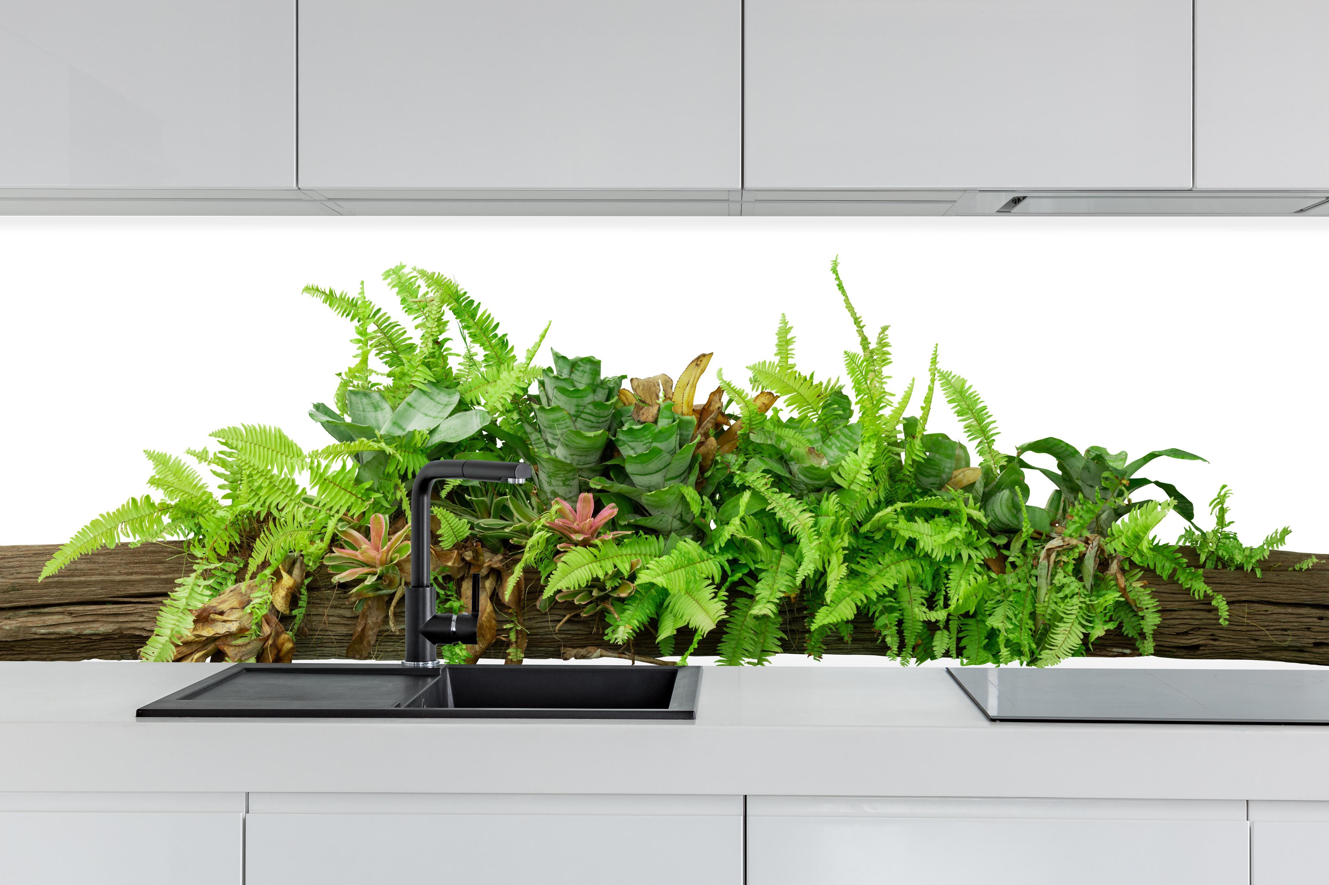 Küche - Dschungelpflanzen auf Holzstamm hinter weißen Hochglanz-Küchenregalen und schwarzem Wasserhahn