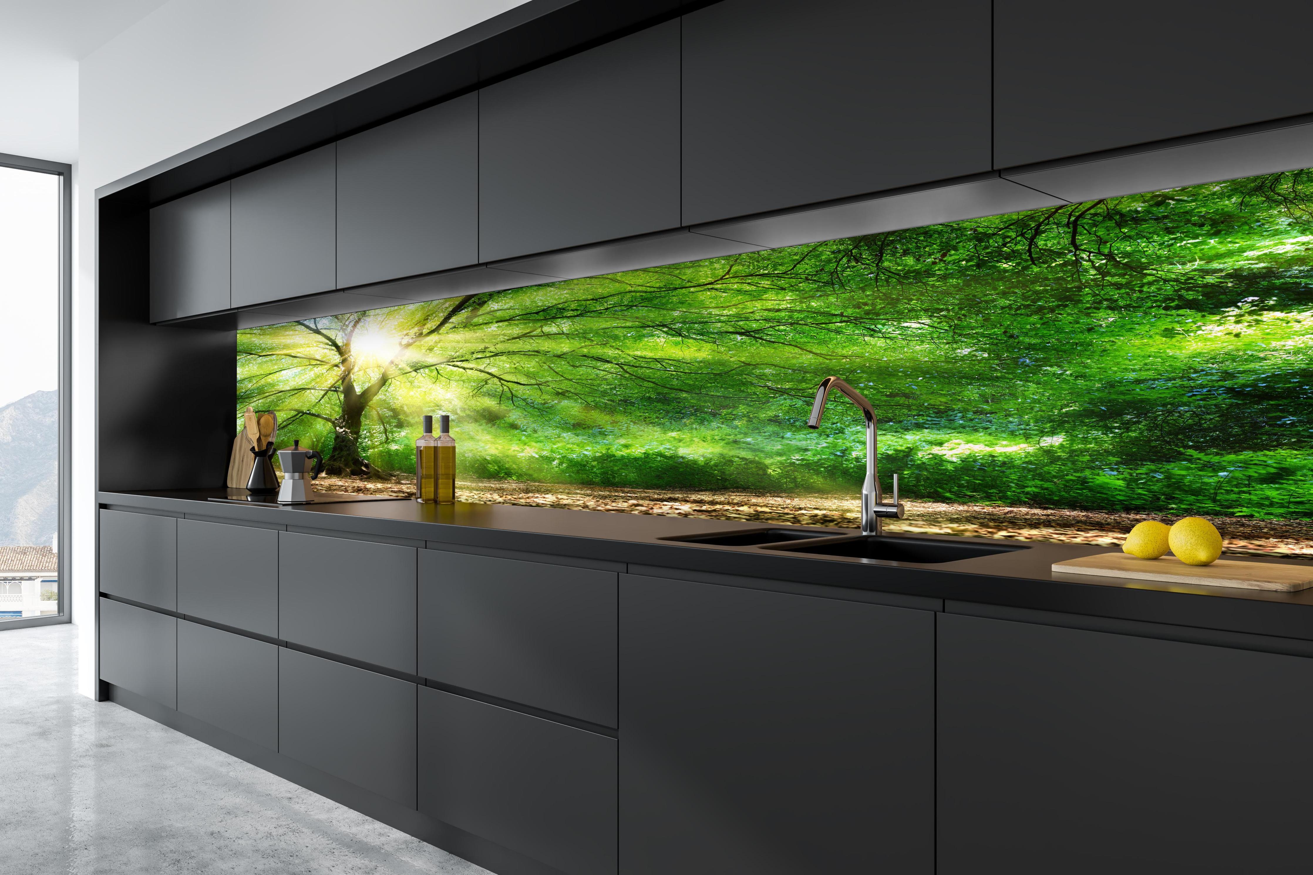 Küche - Energiegeladener Wald in tiefschwarzer matt-premium Einbauküche